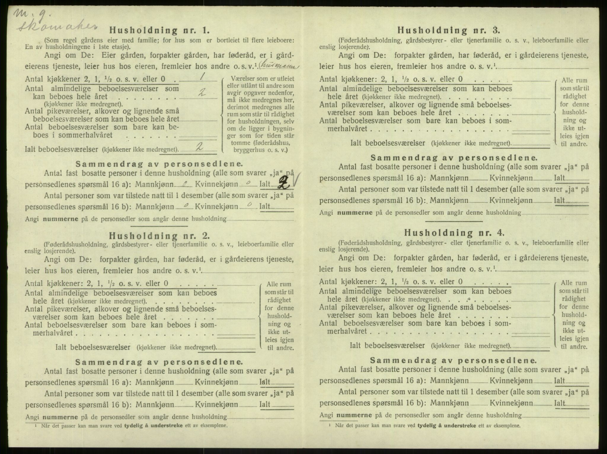 SAB, 1920 census for Hafslo, 1920, p. 996