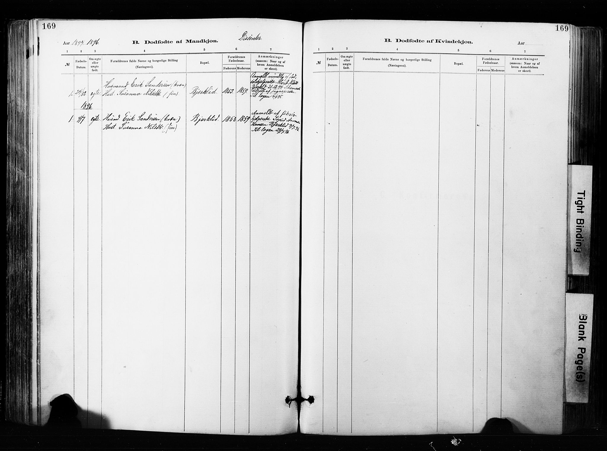 Målselv sokneprestembete, SATØ/S-1311/G/Ga/Gaa/L0007kirke: Parish register (official) no. 7, 1884-1903, p. 169
