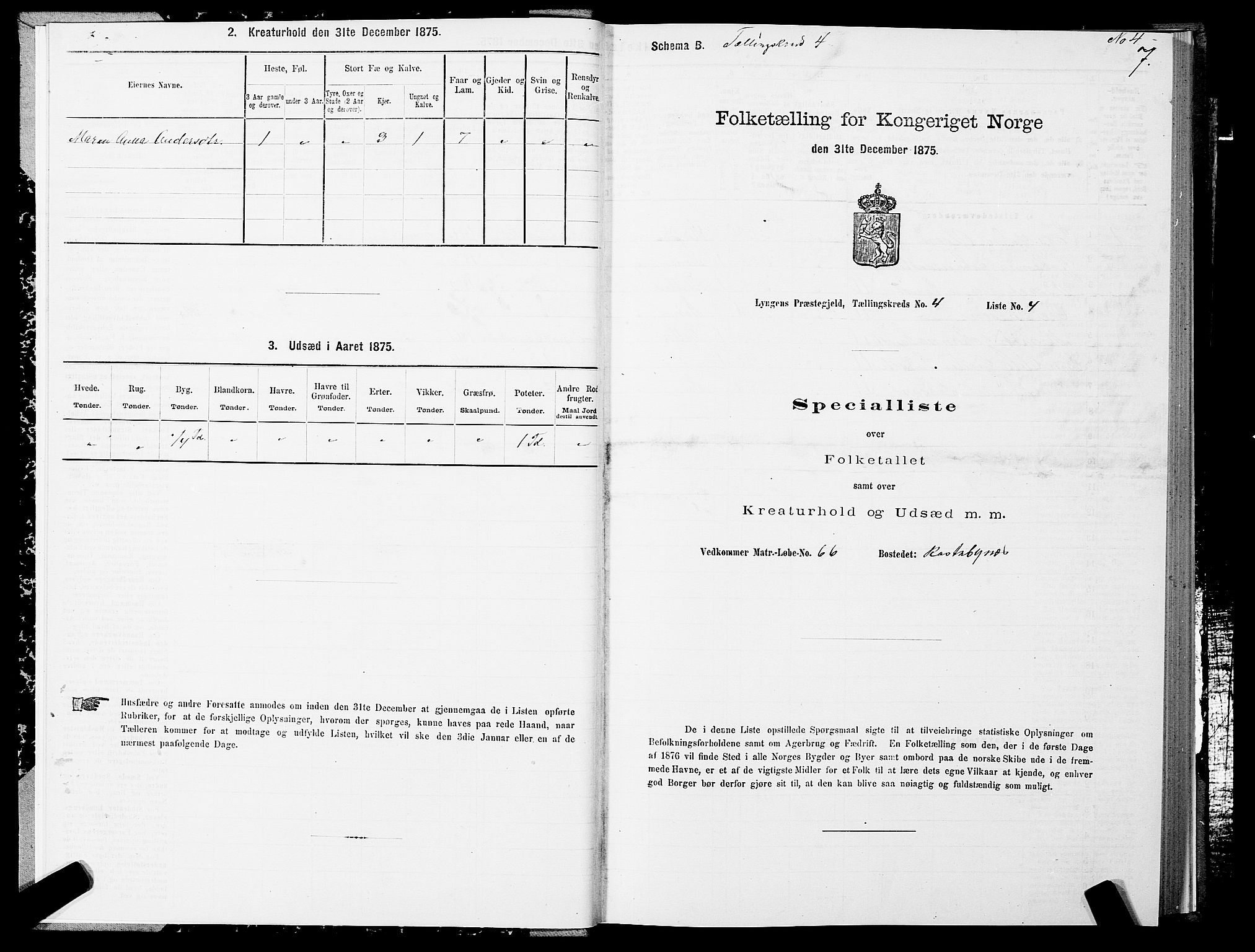 SATØ, 1875 census for 1938P Lyngen, 1875, p. 4007