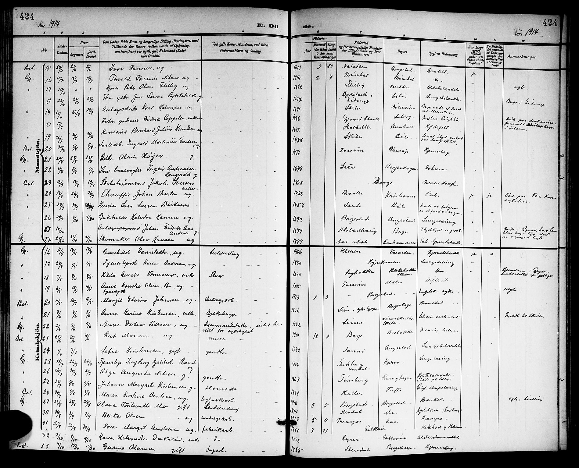 Gjerpen kirkebøker, SAKO/A-265/G/Ga/L0003: Parish register (copy) no. I 3, 1901-1919, p. 424