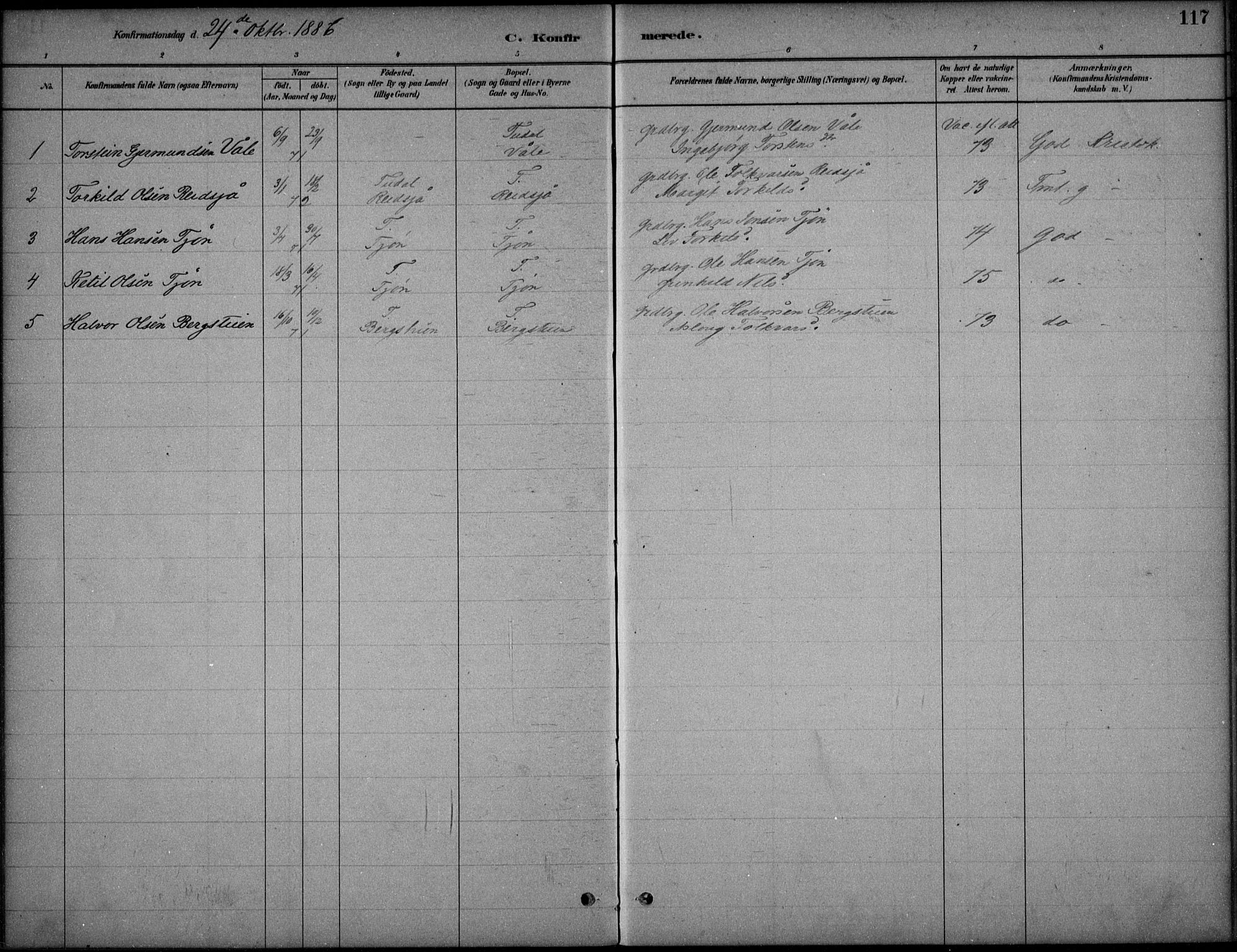 Hjartdal kirkebøker, AV/SAKO-A-270/F/Fc/L0002: Parish register (official) no. III 2, 1880-1936, p. 117