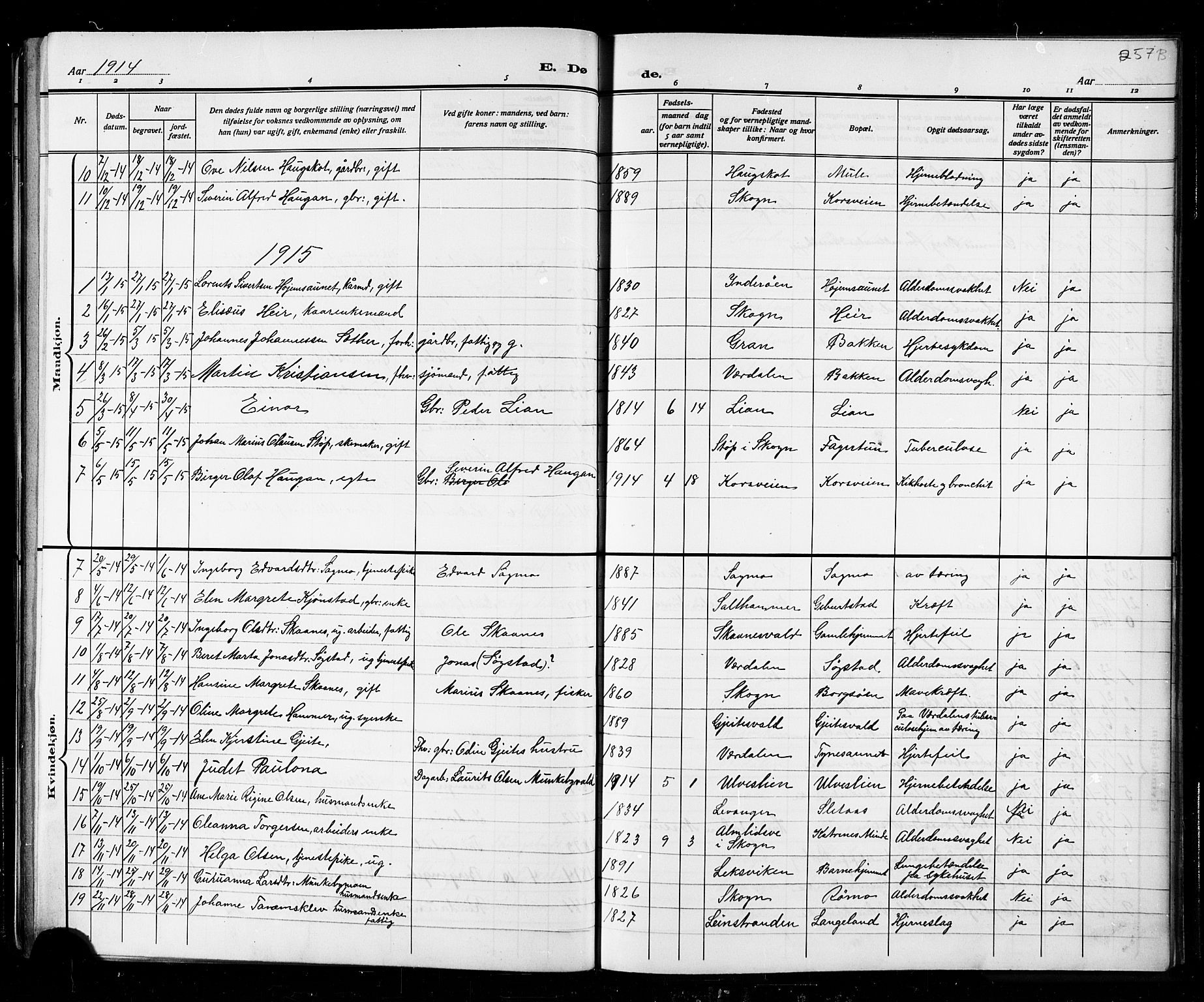 Ministerialprotokoller, klokkerbøker og fødselsregistre - Nord-Trøndelag, SAT/A-1458/721/L0208: Parish register (copy) no. 721C01, 1880-1917, p. 252f