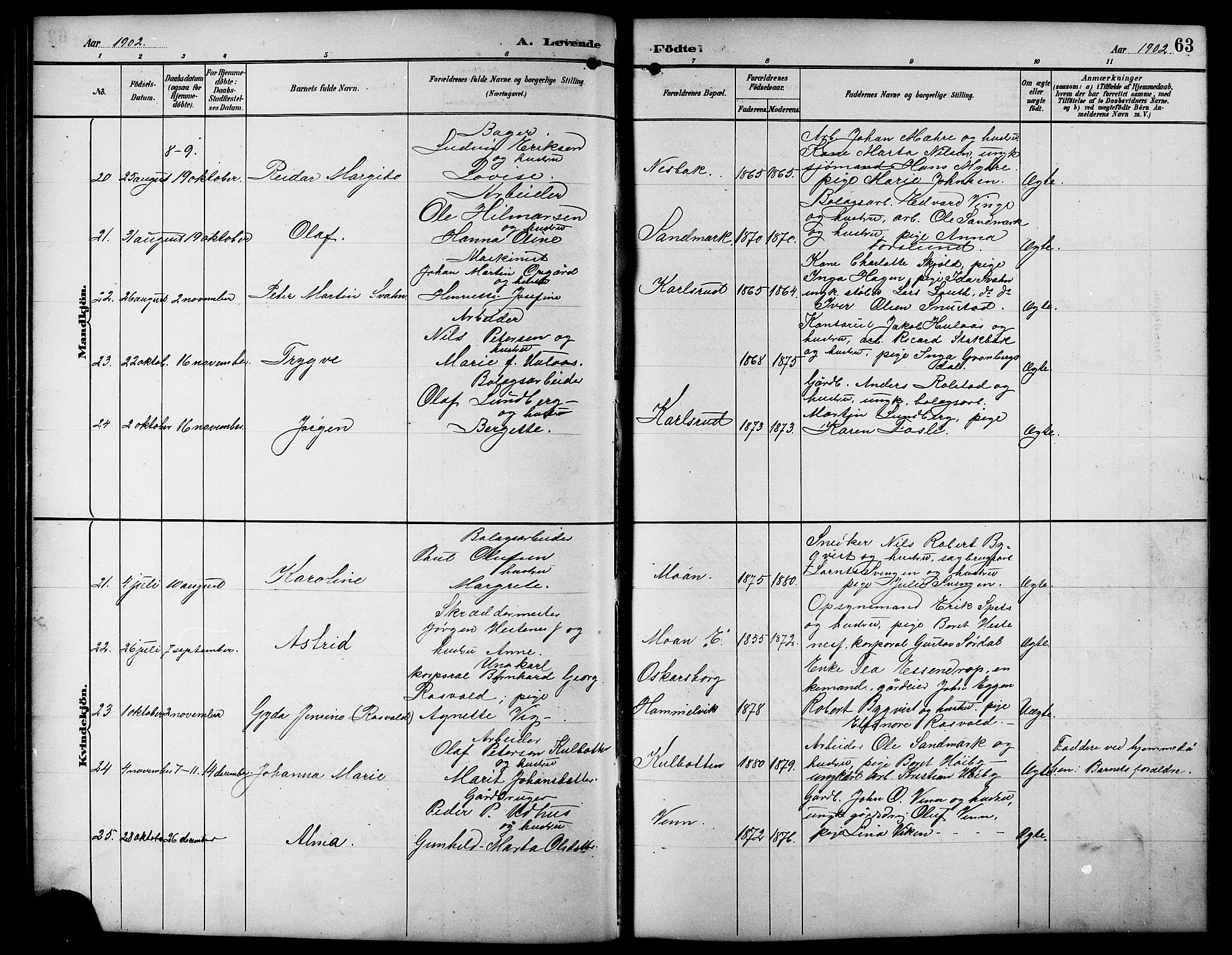 Ministerialprotokoller, klokkerbøker og fødselsregistre - Sør-Trøndelag, SAT/A-1456/617/L0431: Parish register (copy) no. 617C01, 1889-1910, p. 63