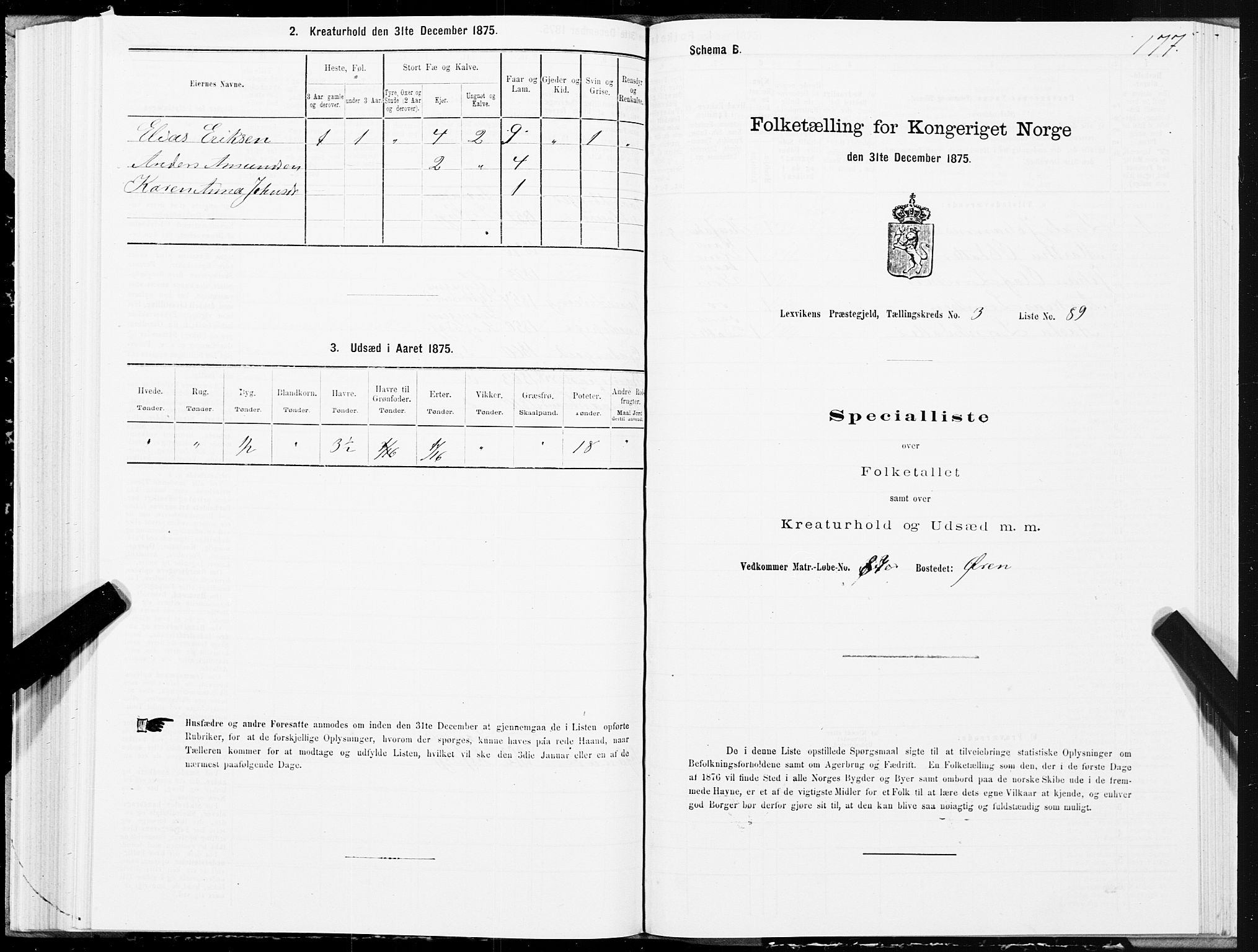 SAT, 1875 census for 1718P Leksvik, 1875, p. 2177