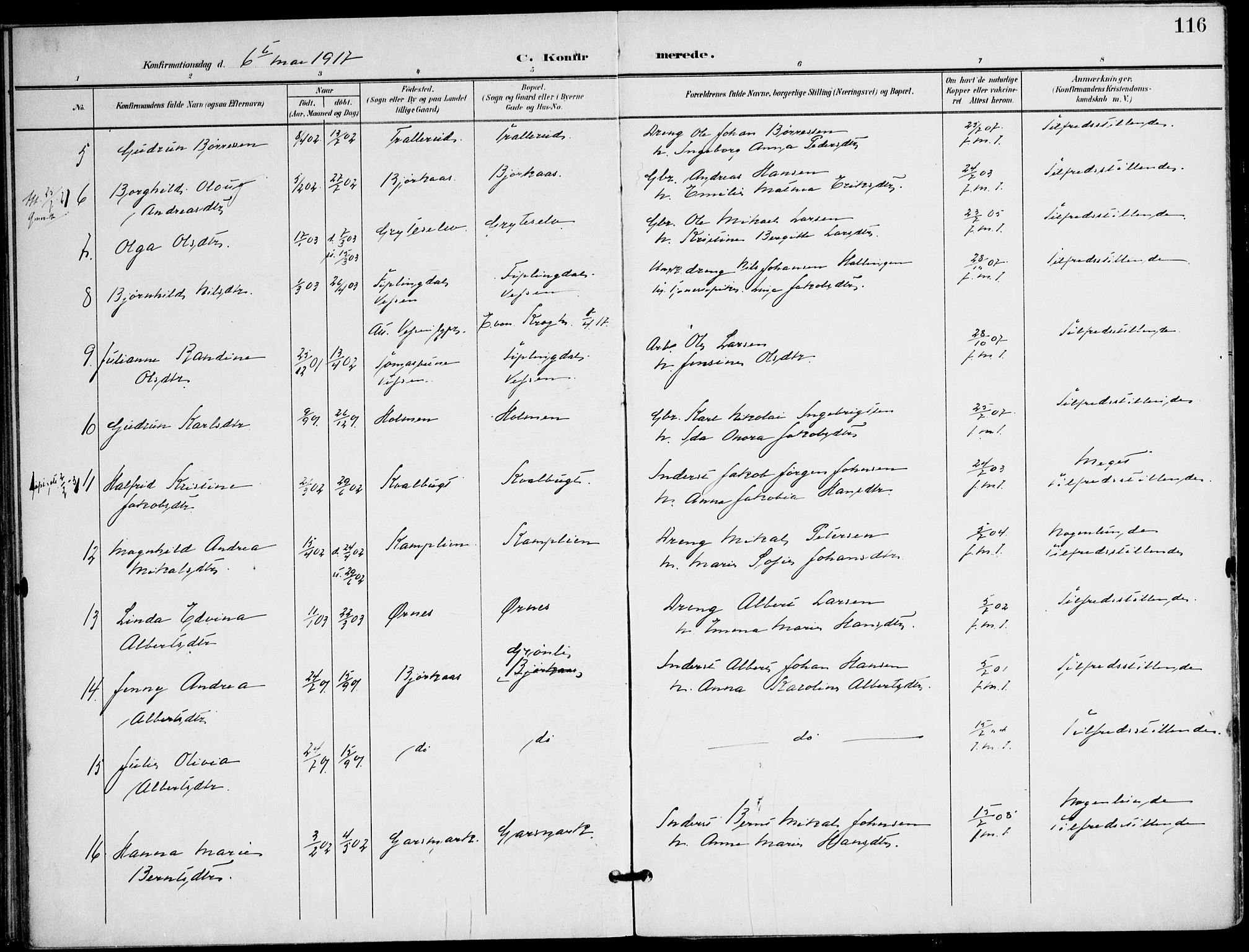 Ministerialprotokoller, klokkerbøker og fødselsregistre - Nordland, AV/SAT-A-1459/823/L0326: Parish register (official) no. 823A03, 1899-1919, p. 116