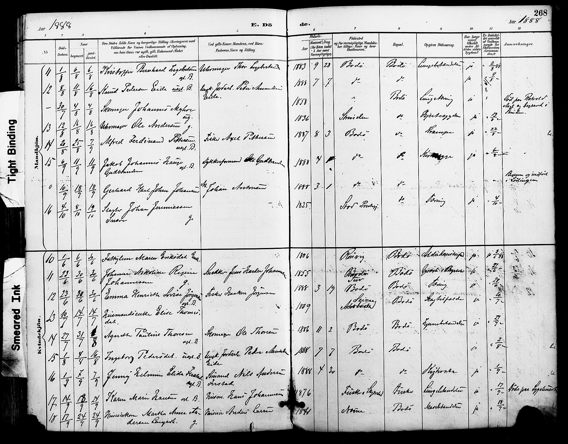 Ministerialprotokoller, klokkerbøker og fødselsregistre - Nordland, AV/SAT-A-1459/801/L0010: Parish register (official) no. 801A10, 1888-1899, p. 268