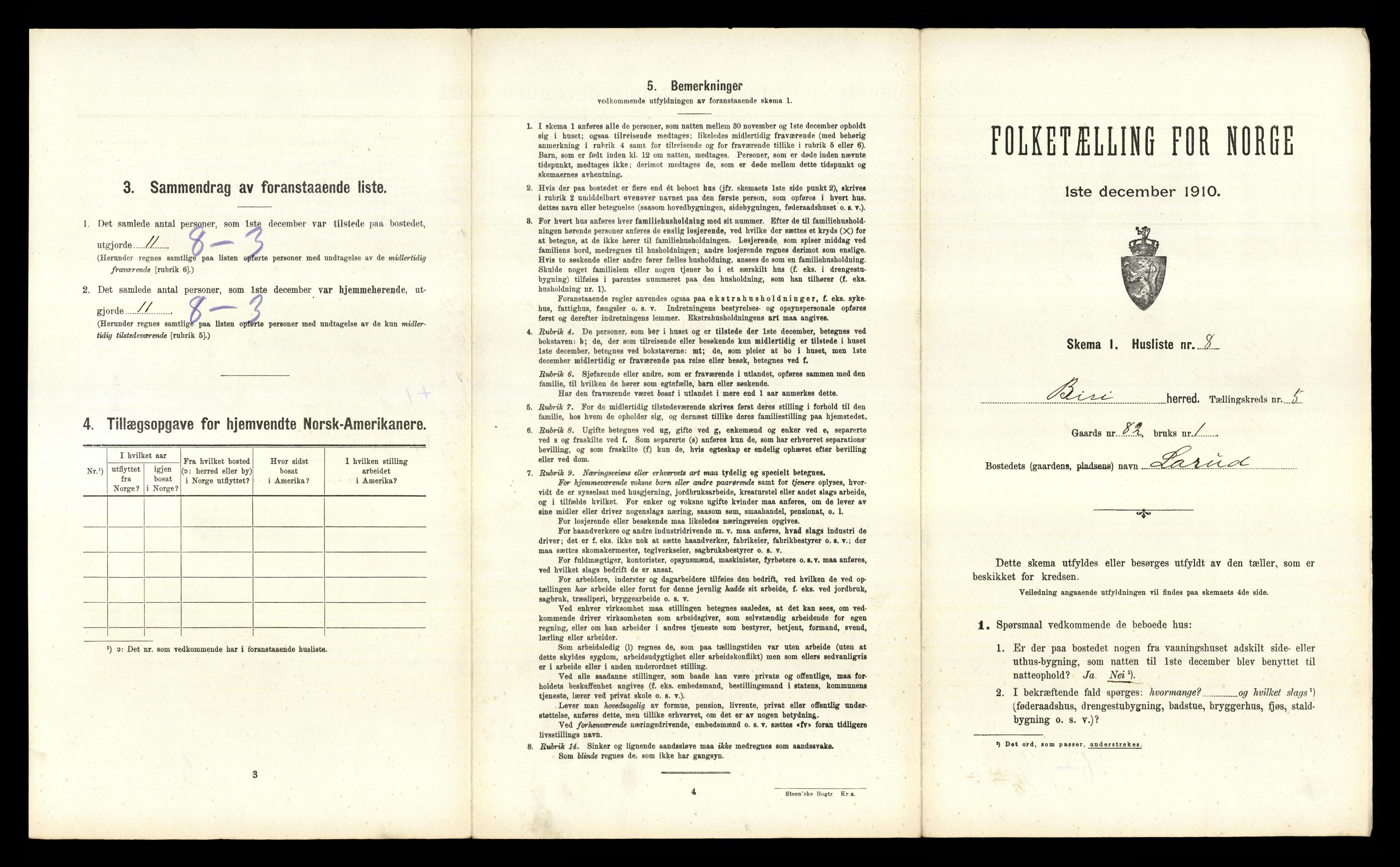 RA, 1910 census for Biri, 1910, p. 843