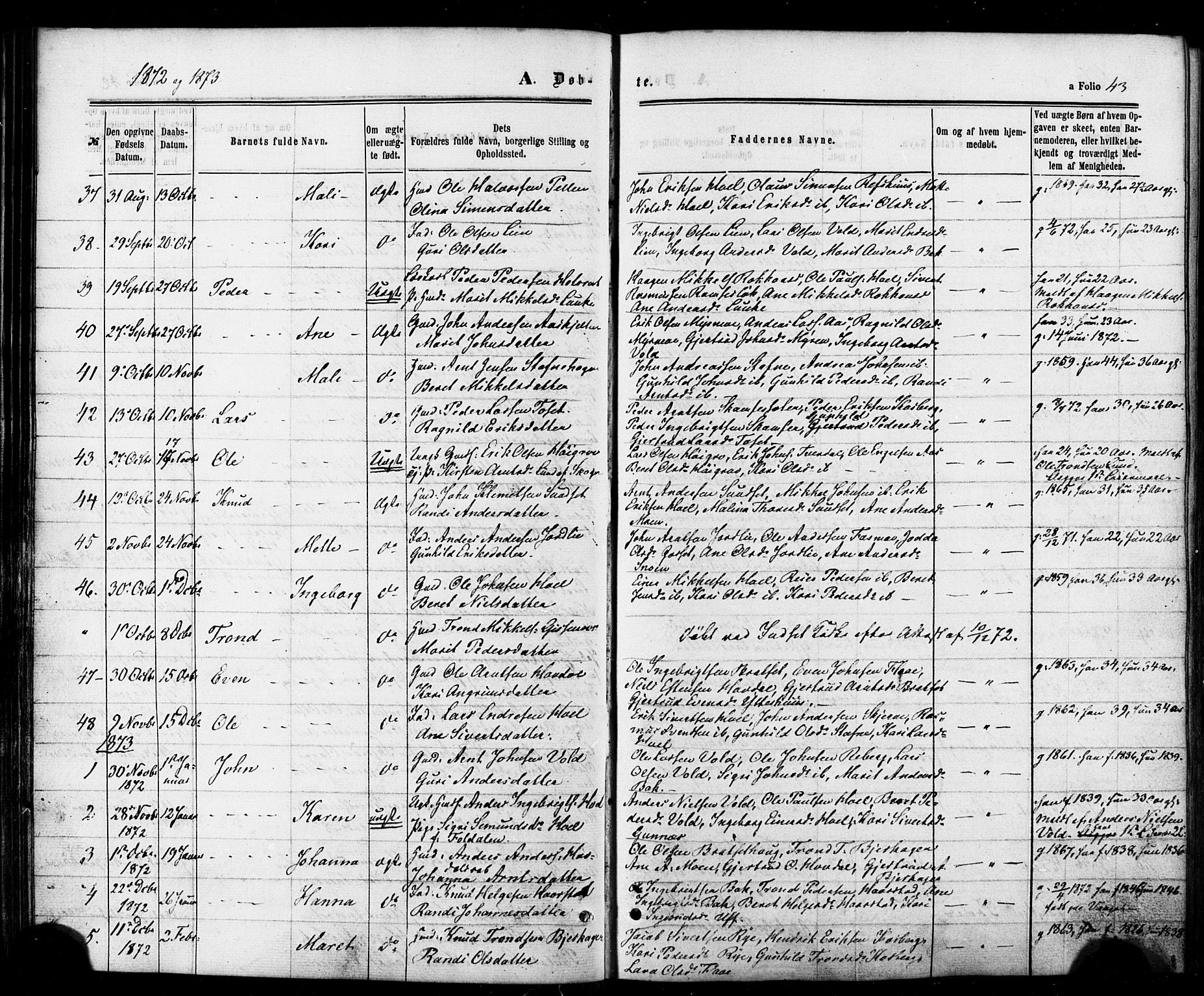 Ministerialprotokoller, klokkerbøker og fødselsregistre - Sør-Trøndelag, SAT/A-1456/674/L0870: Parish register (official) no. 674A02, 1861-1879, p. 43