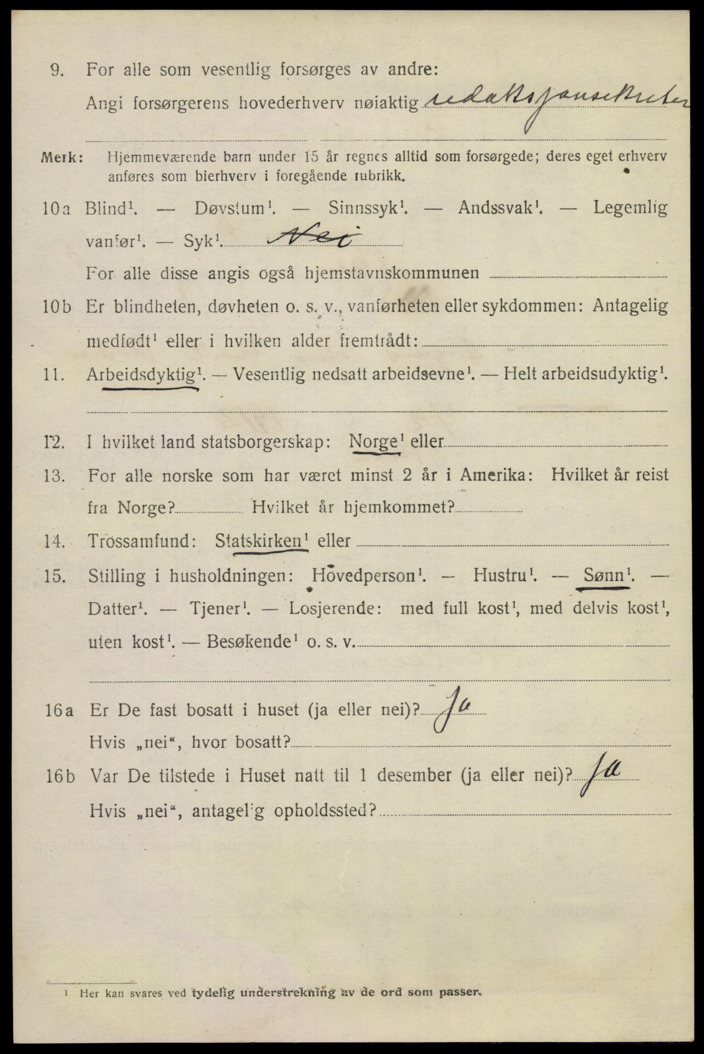 SAKO, 1920 census for Skien, 1920, p. 28617