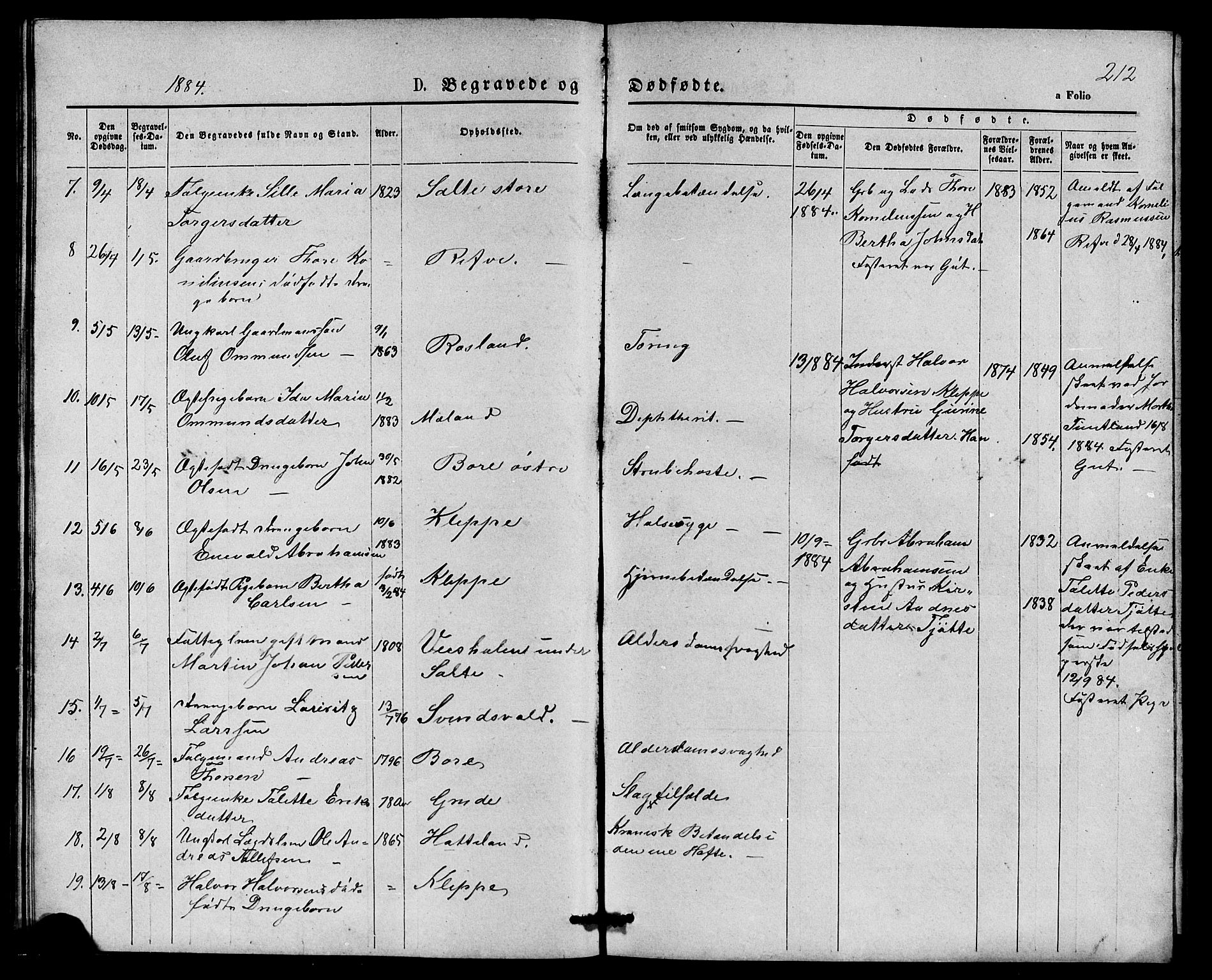 Klepp sokneprestkontor, SAST/A-101803/001/3/30BB/L0003: Parish register (copy) no. B 3, 1876-1888, p. 212