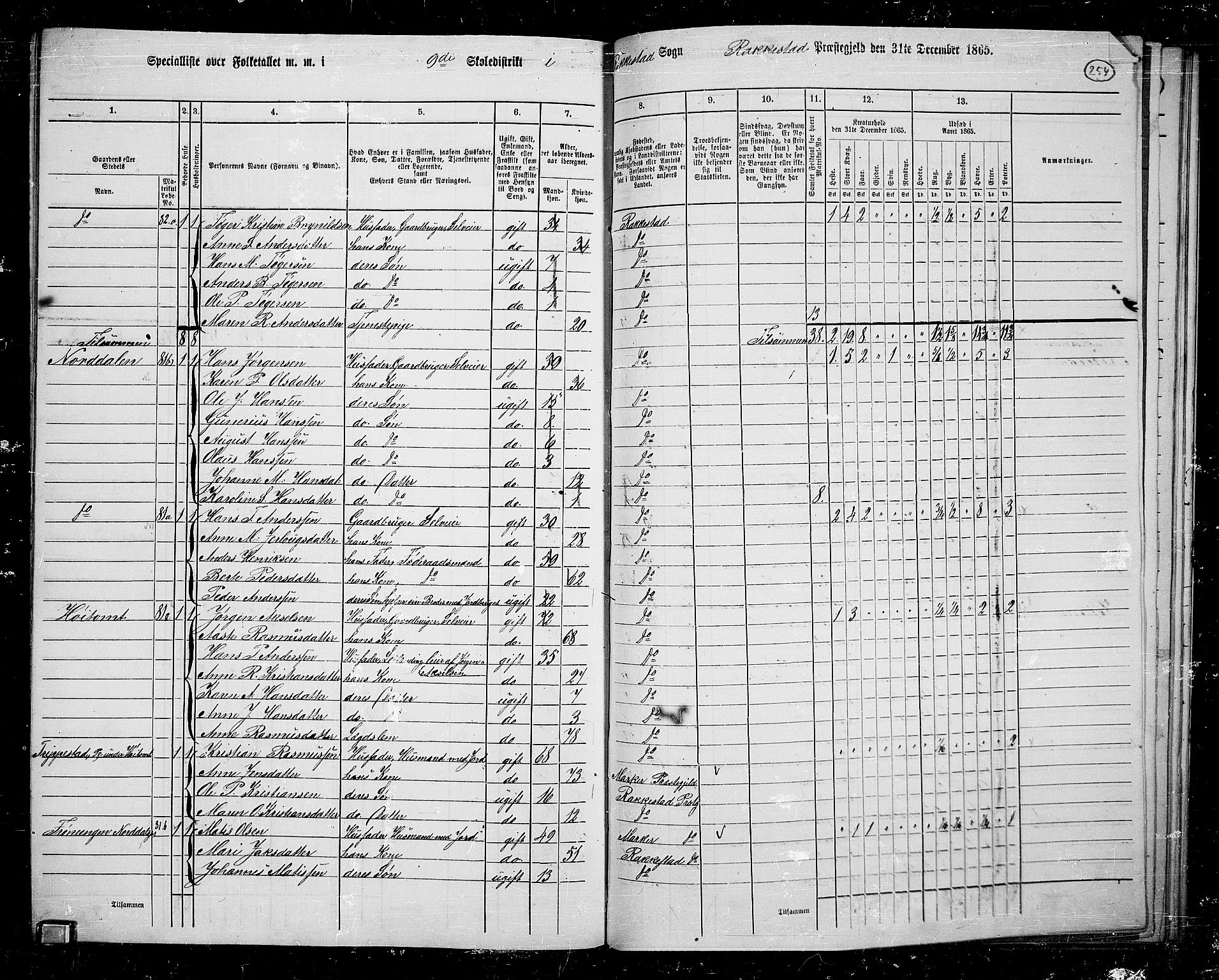 RA, 1865 census for Rakkestad, 1865, p. 243