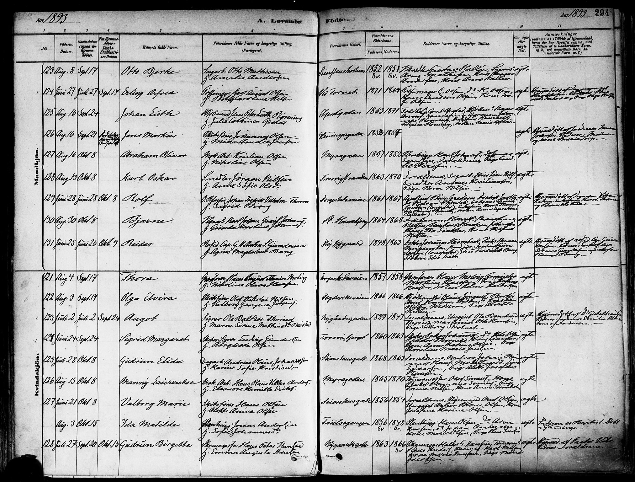 Fredrikstad domkirkes prestekontor Kirkebøker, SAO/A-10906/F/Fa/L0002: Parish register (official) no. 2, 1878-1894, p. 294