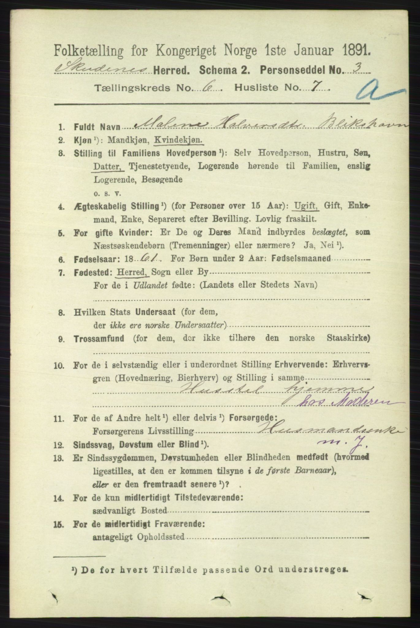 RA, 1891 census for 1150 Skudenes, 1891, p. 3016