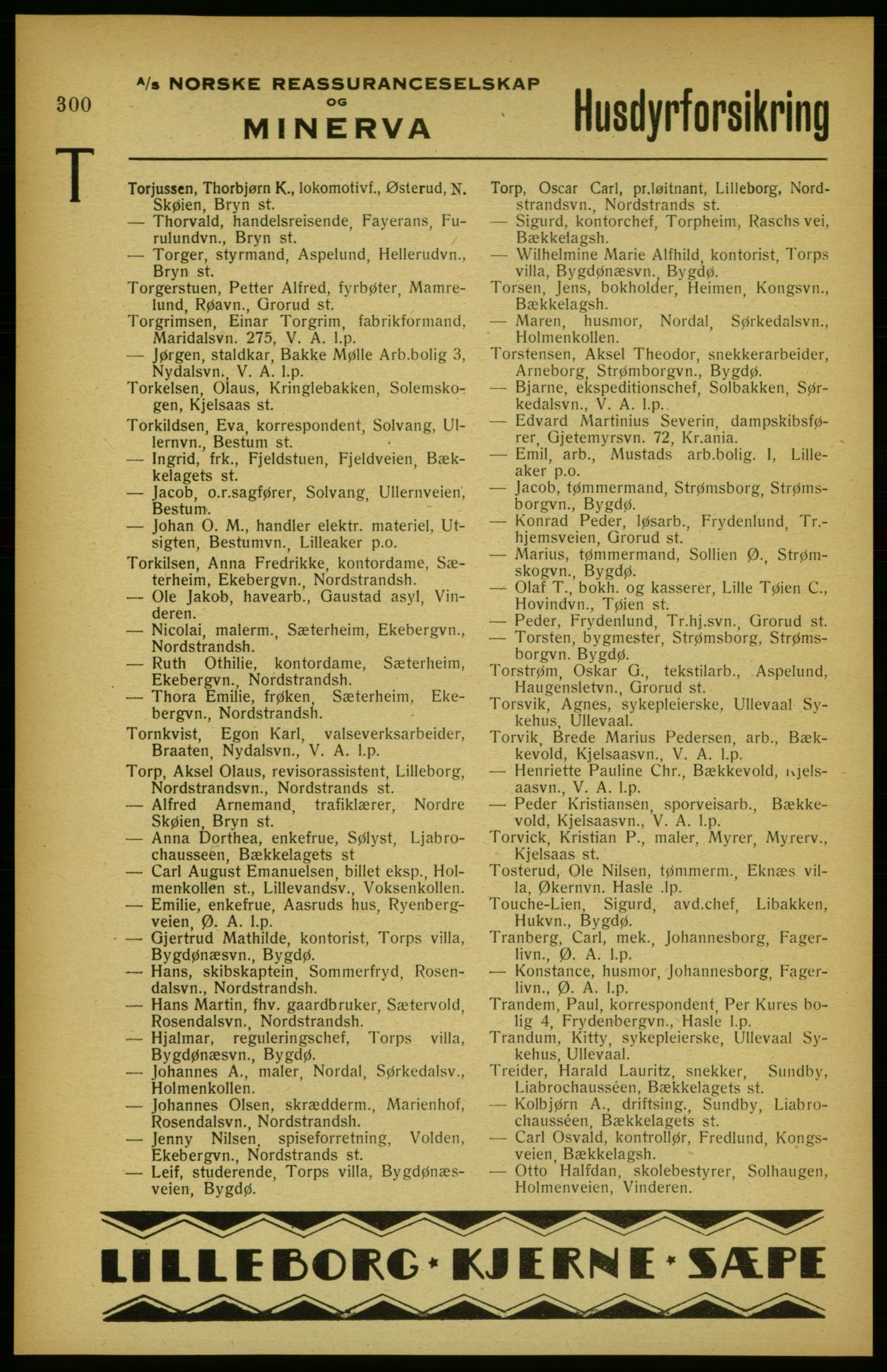 Aker adressebok/adressekalender, PUBL/001/A/002: Akers adressekalender, 1922, p. 300