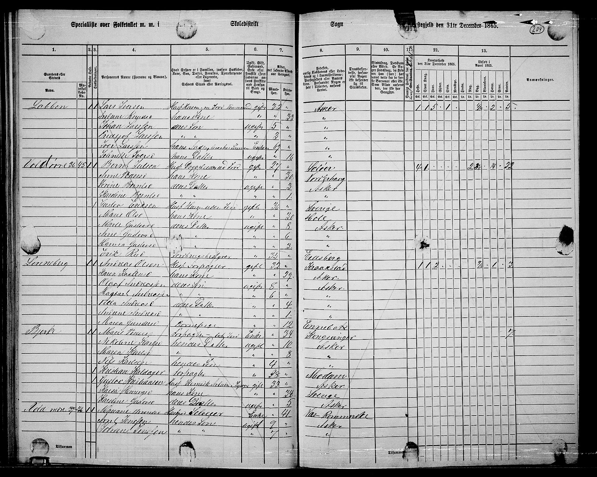 RA, 1865 census for Asker, 1865, p. 196