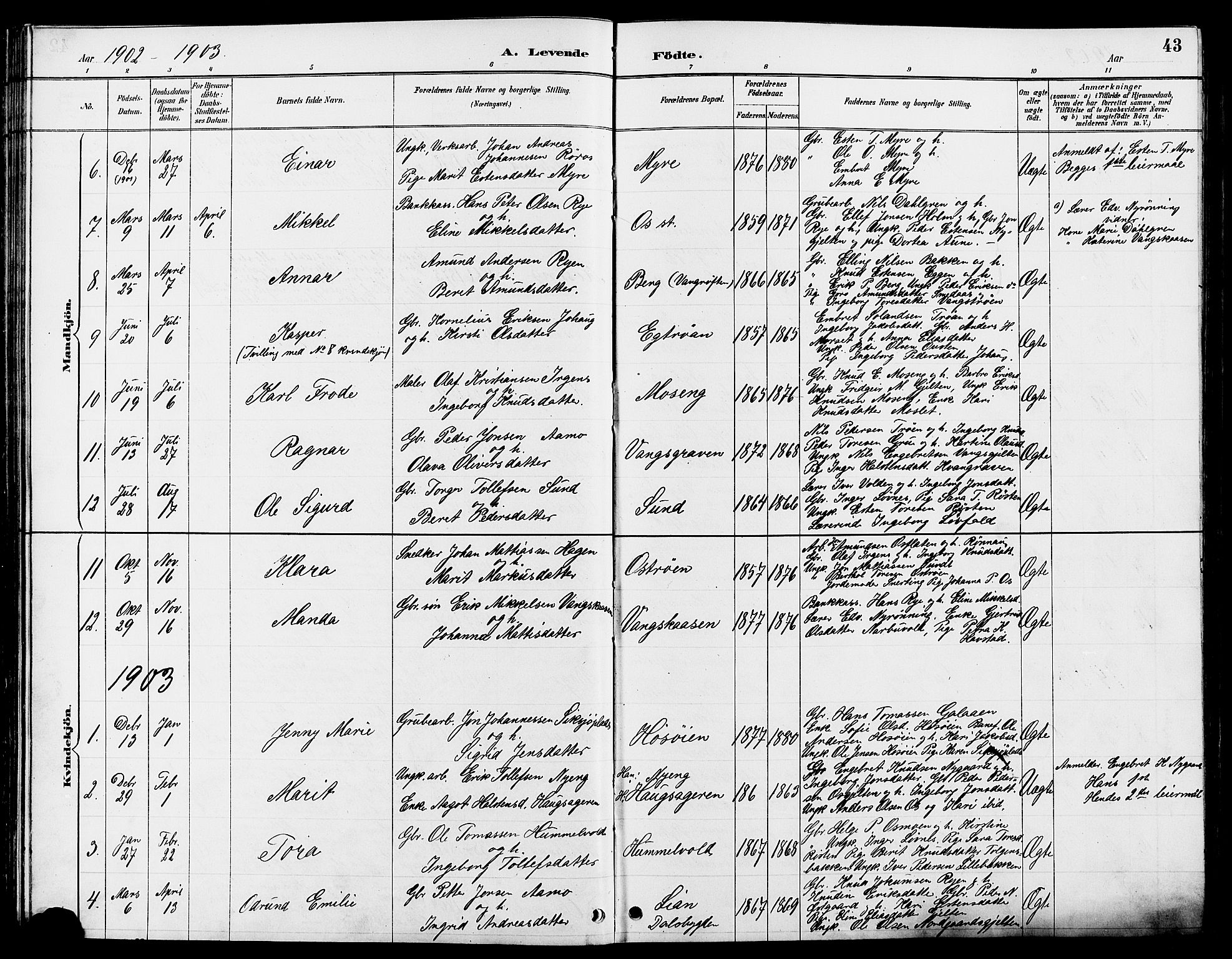 Tolga prestekontor, AV/SAH-PREST-062/L/L0008: Parish register (copy) no. 8, 1887-1912, p. 43