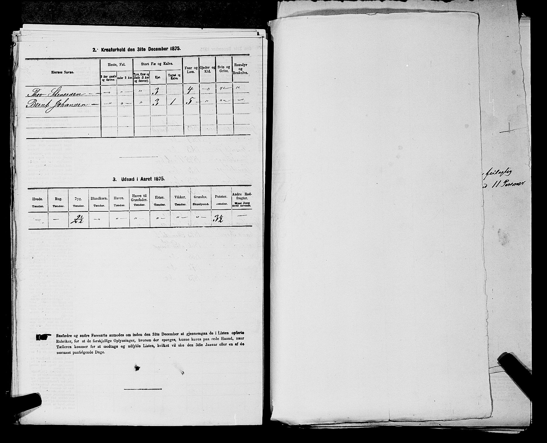 SAKO, 1875 census for 0633P Nore, 1875, p. 458