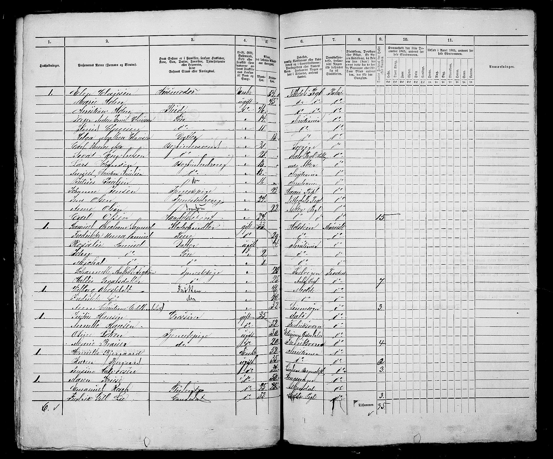 RA, 1865 census for Kristiania, 1865, p. 873