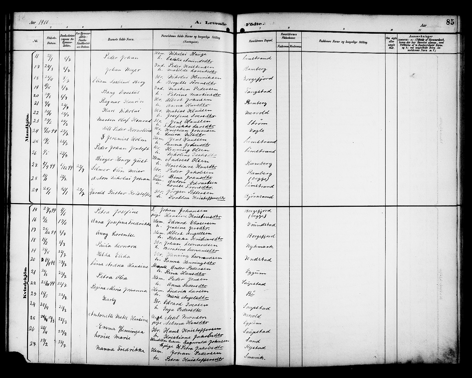 Ministerialprotokoller, klokkerbøker og fødselsregistre - Nordland, AV/SAT-A-1459/880/L1141: Parish register (copy) no. 880C03, 1893-1928, p. 85