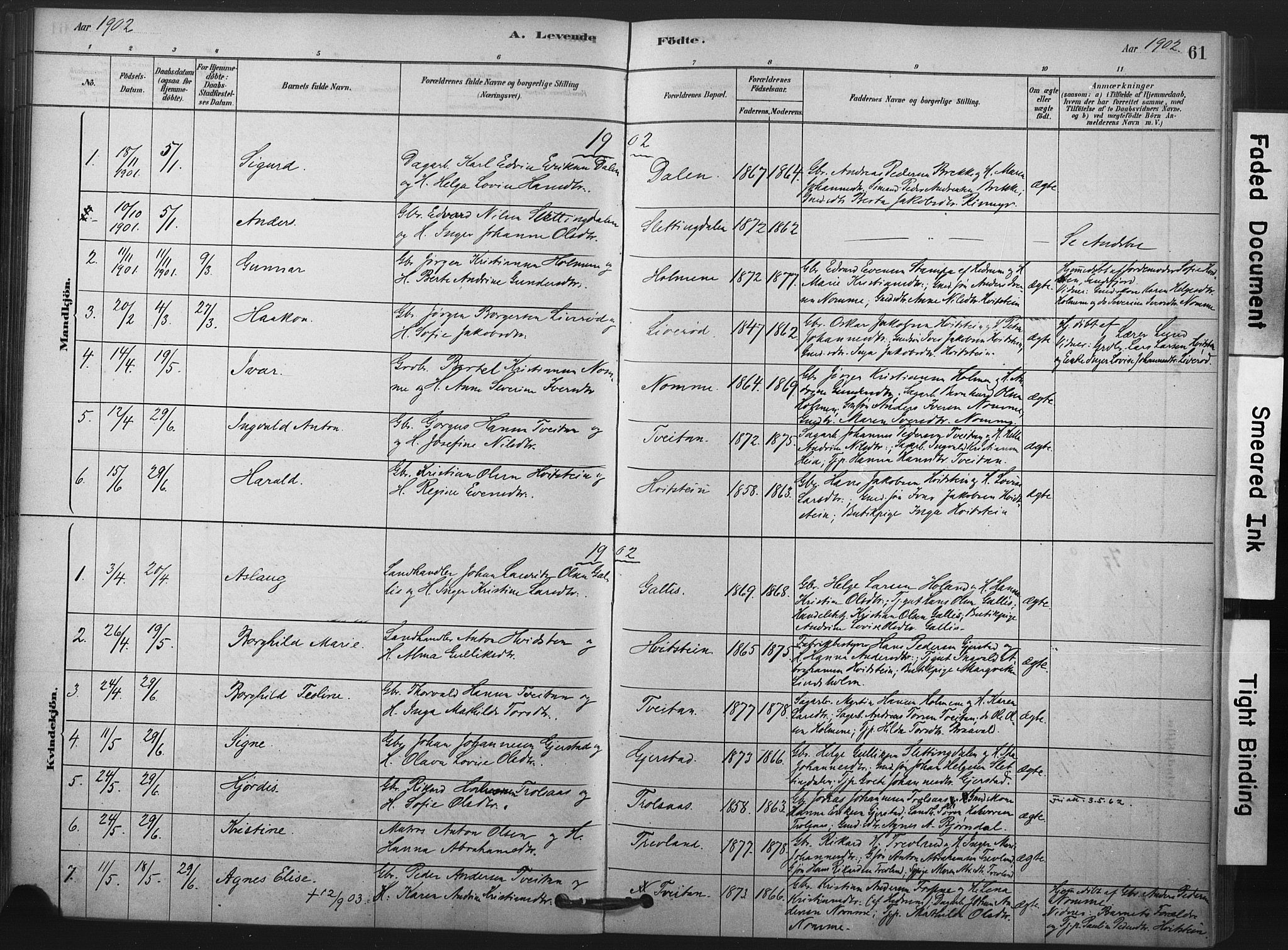 Andebu kirkebøker, AV/SAKO-A-336/F/Fa/L0008: Parish register (official) no. 8, 1878-1902, p. 61