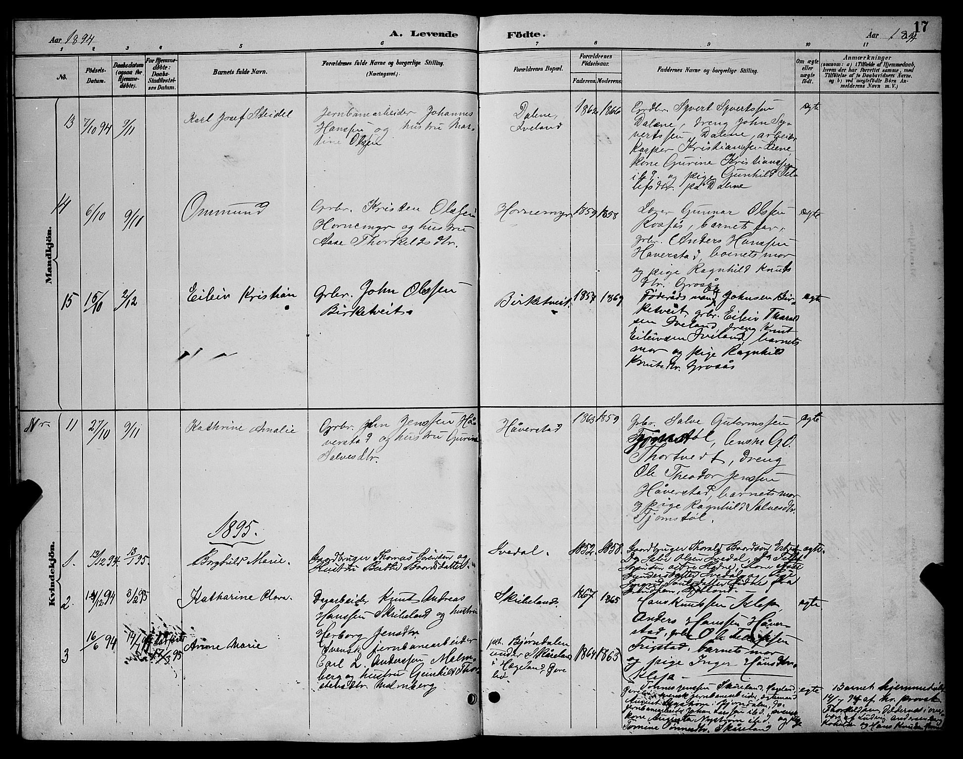 Evje sokneprestkontor, AV/SAK-1111-0008/F/Fb/Fbc/L0004: Parish register (copy) no. B 4, 1890-1900, p. 17