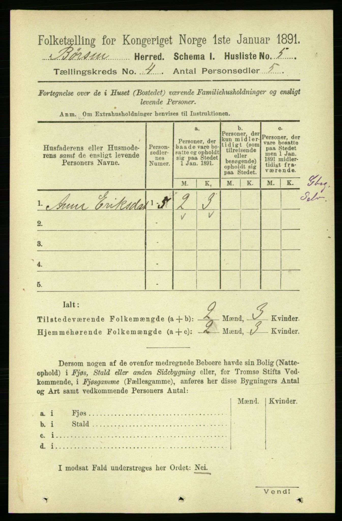 RA, 1891 census for 1658 Børsa, 1891, p. 1379