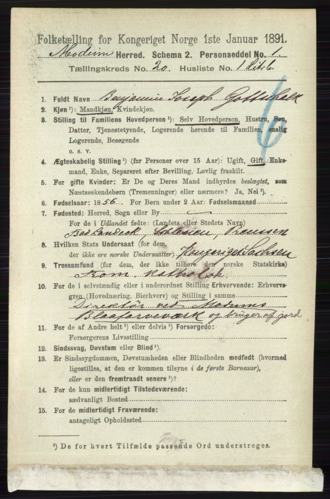 RA, 1891 census for 0623 Modum, 1891, p. 7805