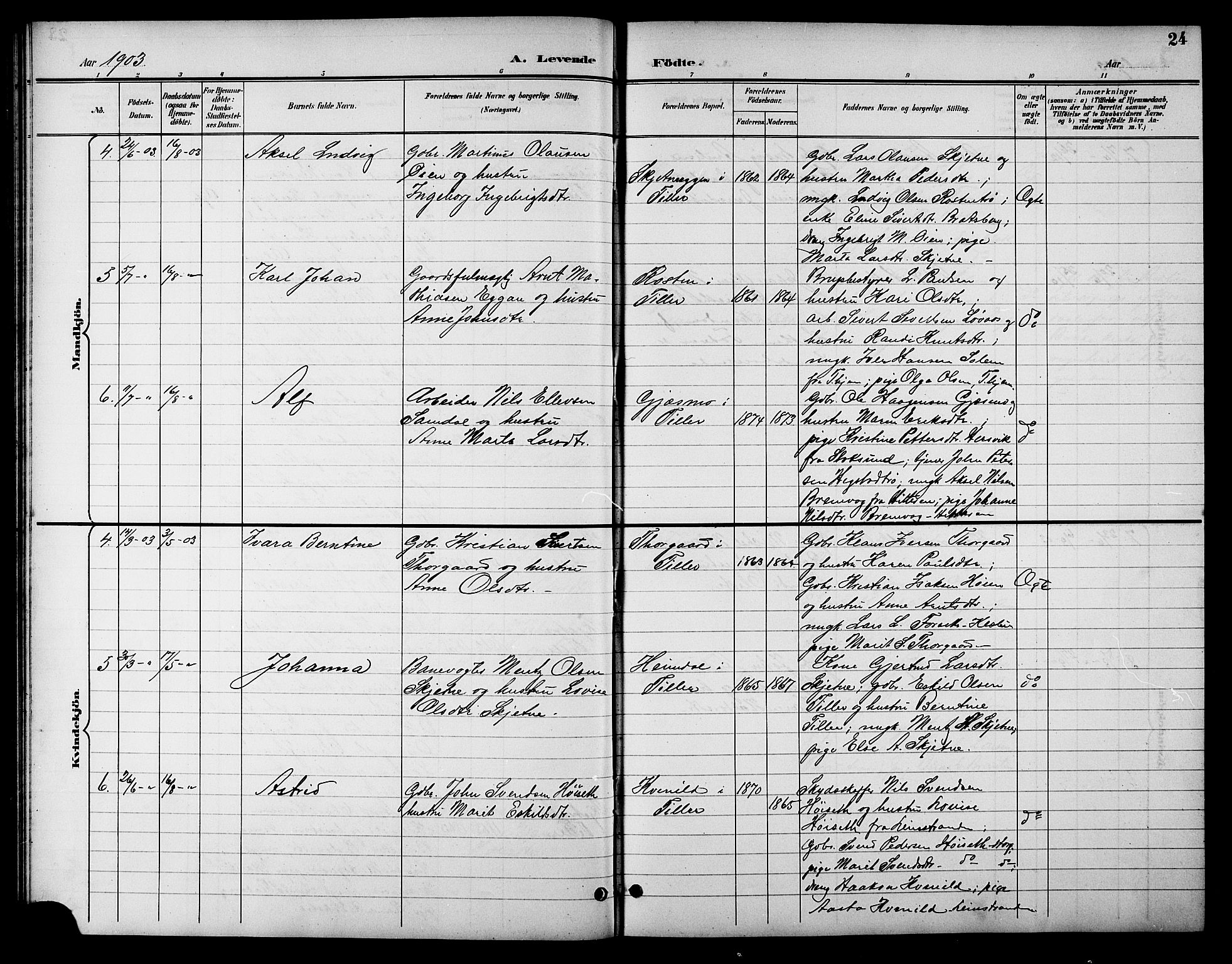 Ministerialprotokoller, klokkerbøker og fødselsregistre - Sør-Trøndelag, AV/SAT-A-1456/621/L0460: Parish register (copy) no. 621C03, 1896-1914, p. 24