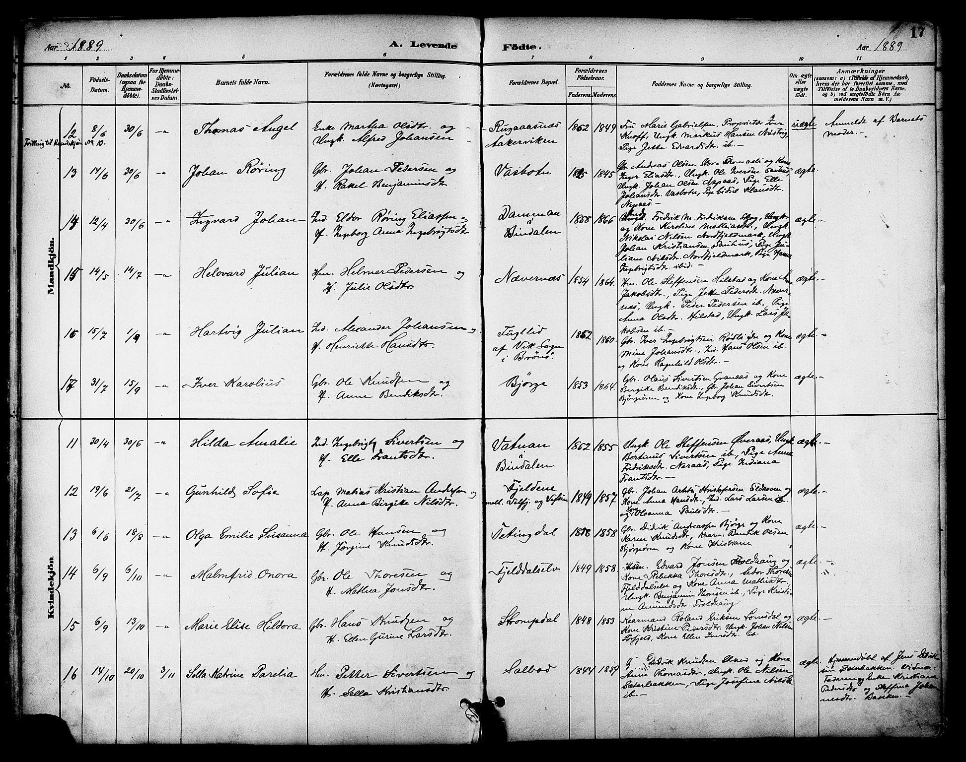 Ministerialprotokoller, klokkerbøker og fødselsregistre - Nordland, AV/SAT-A-1459/814/L0226: Parish register (official) no. 814A07, 1886-1898, p. 17