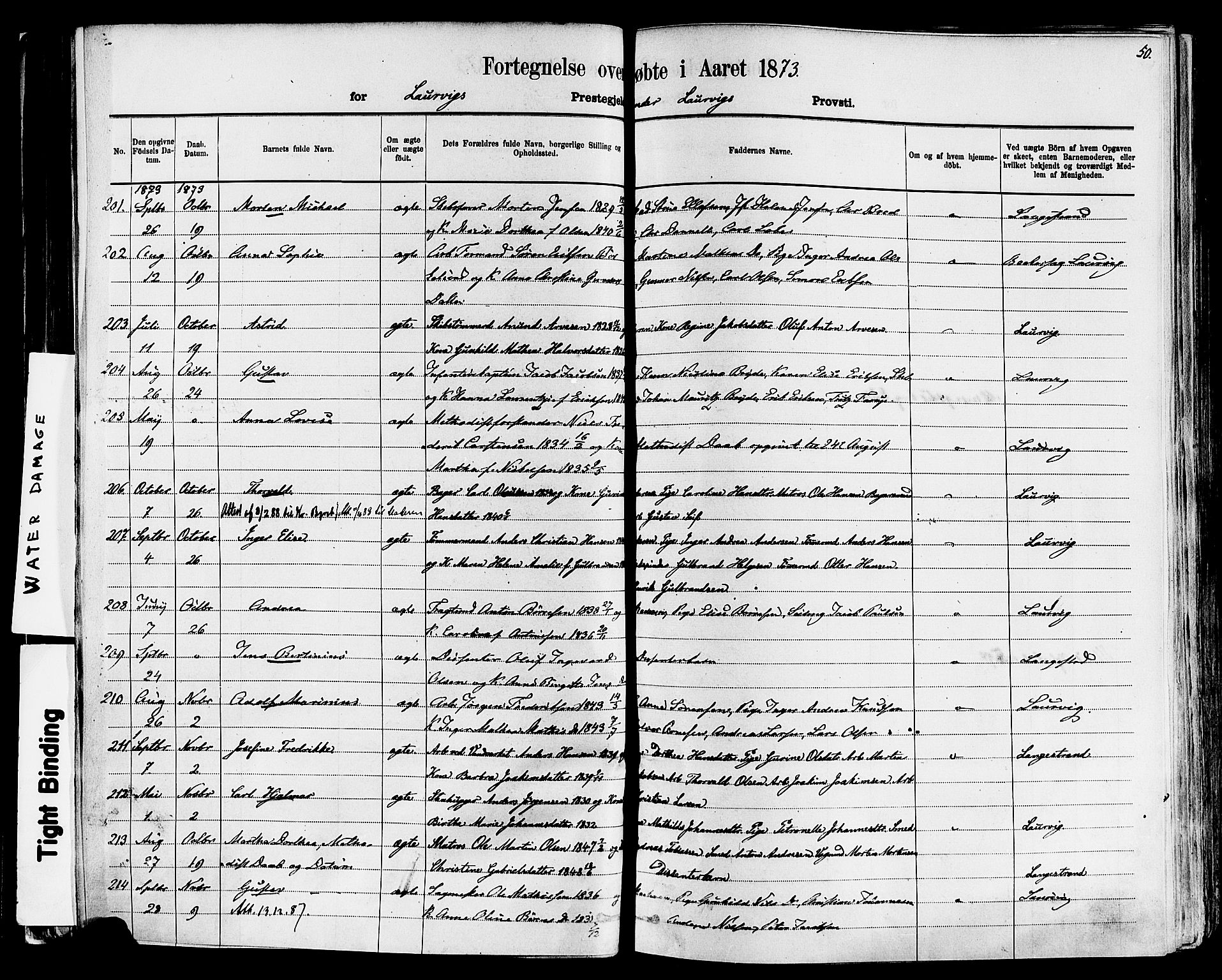 Larvik kirkebøker, AV/SAKO-A-352/F/Fa/L0006: Parish register (official) no. I 6, 1871-1883, p. 50