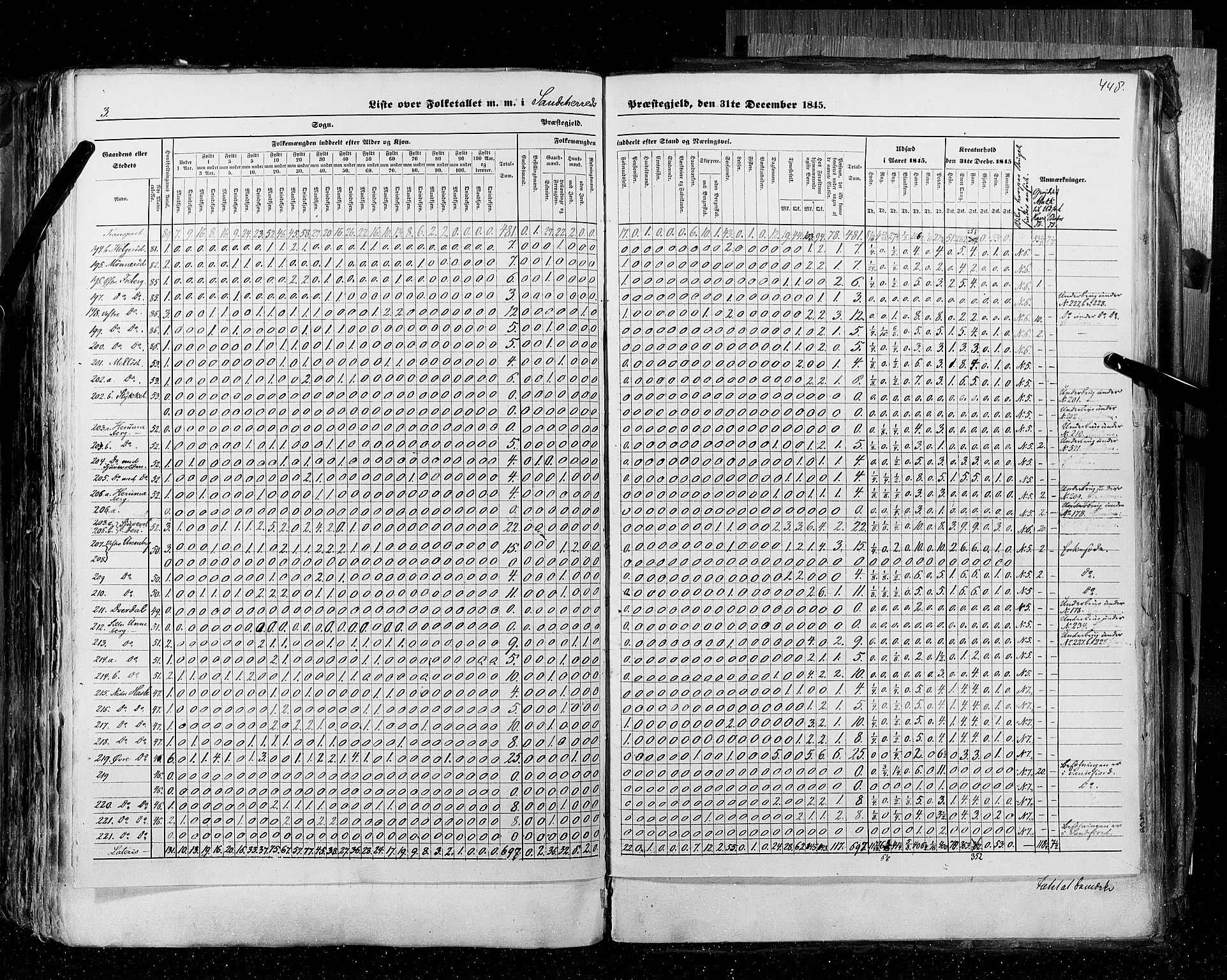 RA, Census 1845, vol. 4: Buskerud amt og Jarlsberg og Larvik amt, 1845, p. 448