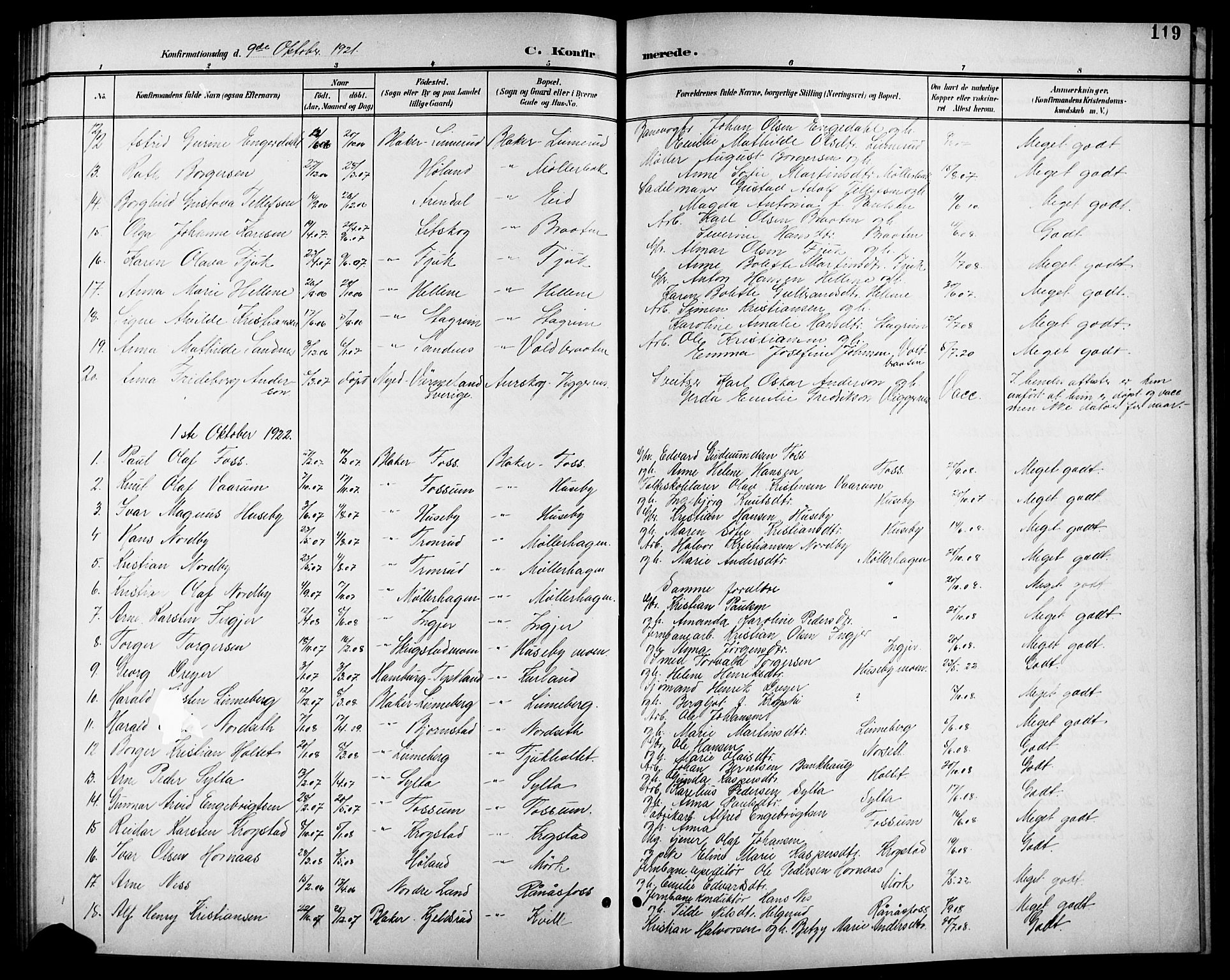 Aurskog prestekontor Kirkebøker, SAO/A-10304a/G/Gb/L0002: Parish register (copy) no. II 2, 1901-1926, p. 119
