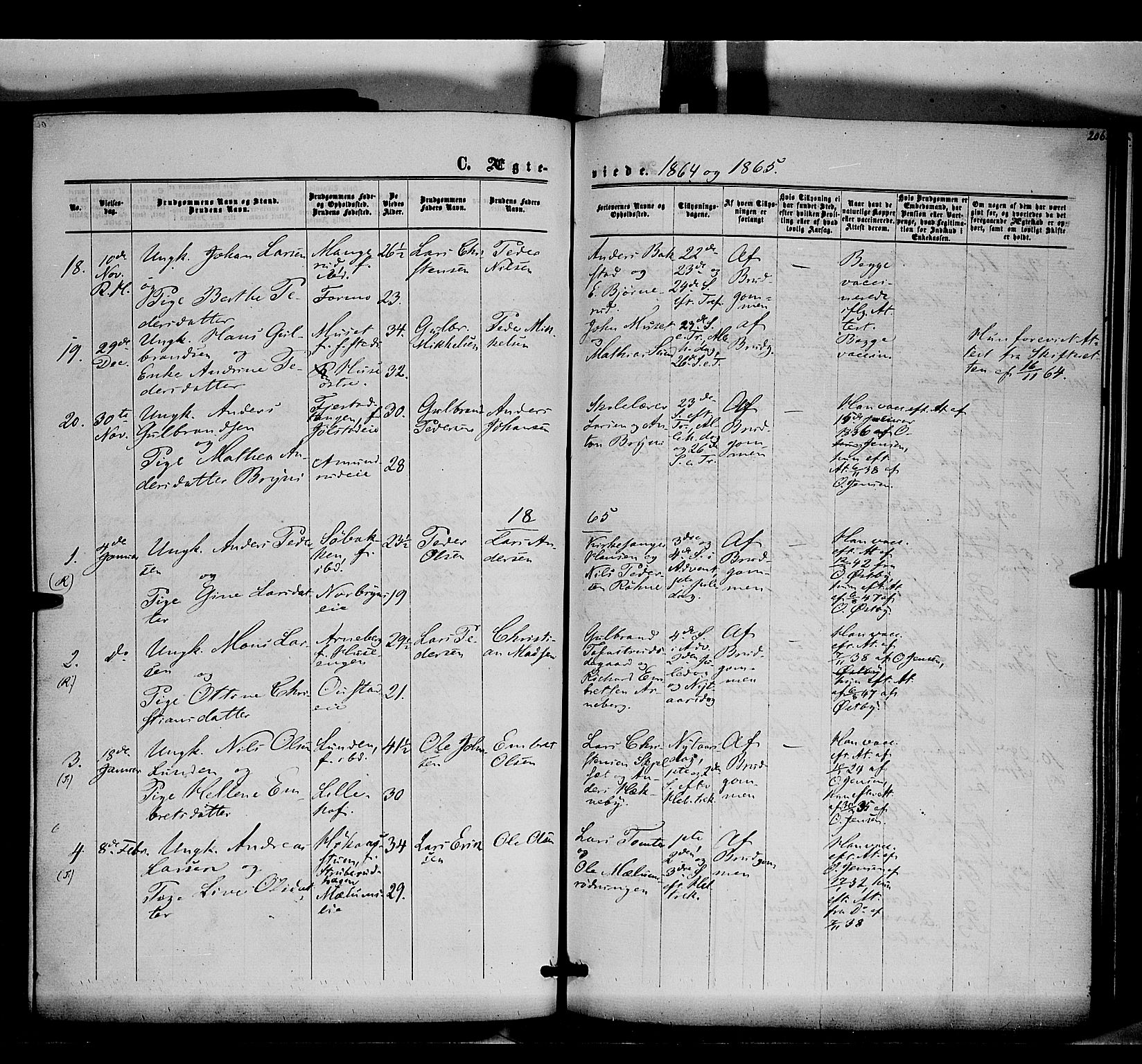 Romedal prestekontor, SAH/PREST-004/K/L0005: Parish register (official) no. 5, 1862-1874, p. 206