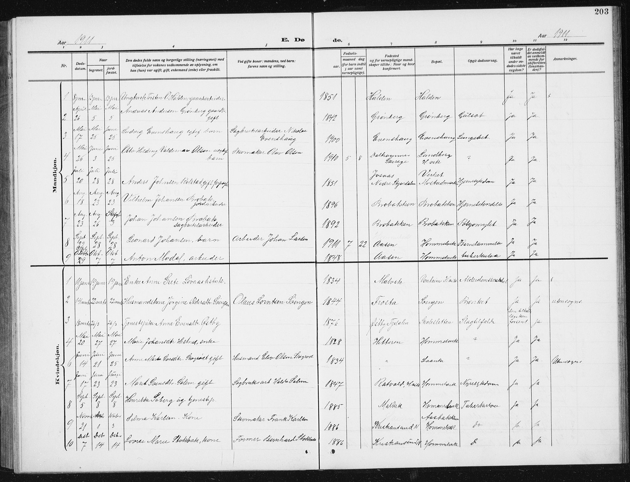 Ministerialprotokoller, klokkerbøker og fødselsregistre - Sør-Trøndelag, AV/SAT-A-1456/617/L0431: Parish register (copy) no. 617C02, 1910-1936, p. 203