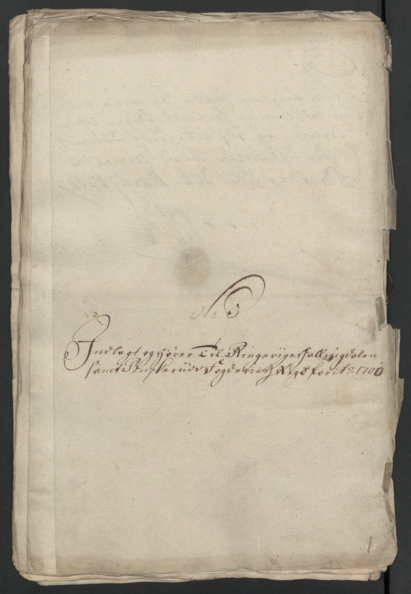 Rentekammeret inntil 1814, Reviderte regnskaper, Fogderegnskap, RA/EA-4092/R22/L1457: Fogderegnskap Ringerike, Hallingdal og Buskerud, 1700, p. 85