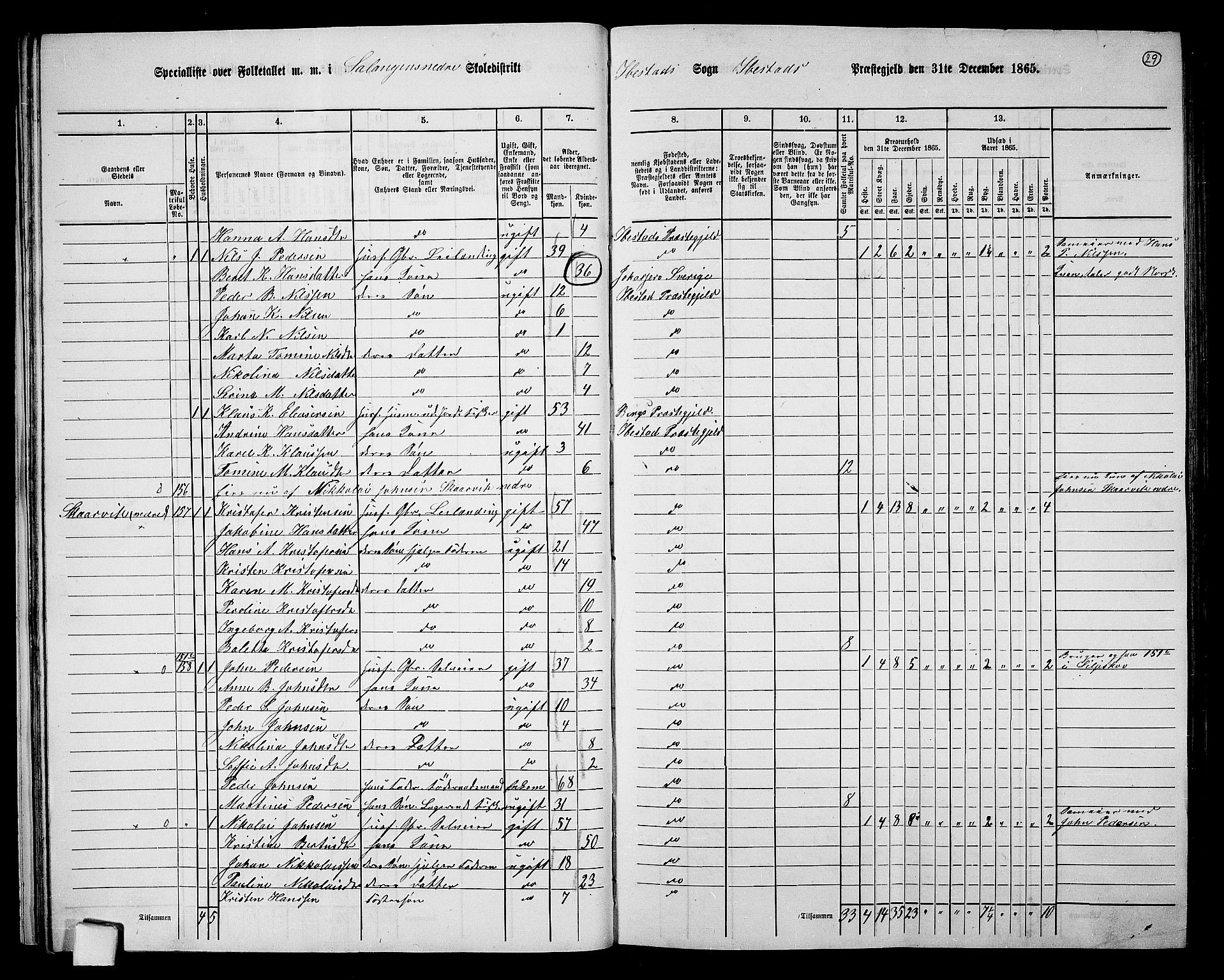 RA, 1865 census for Ibestad, 1865, p. 29