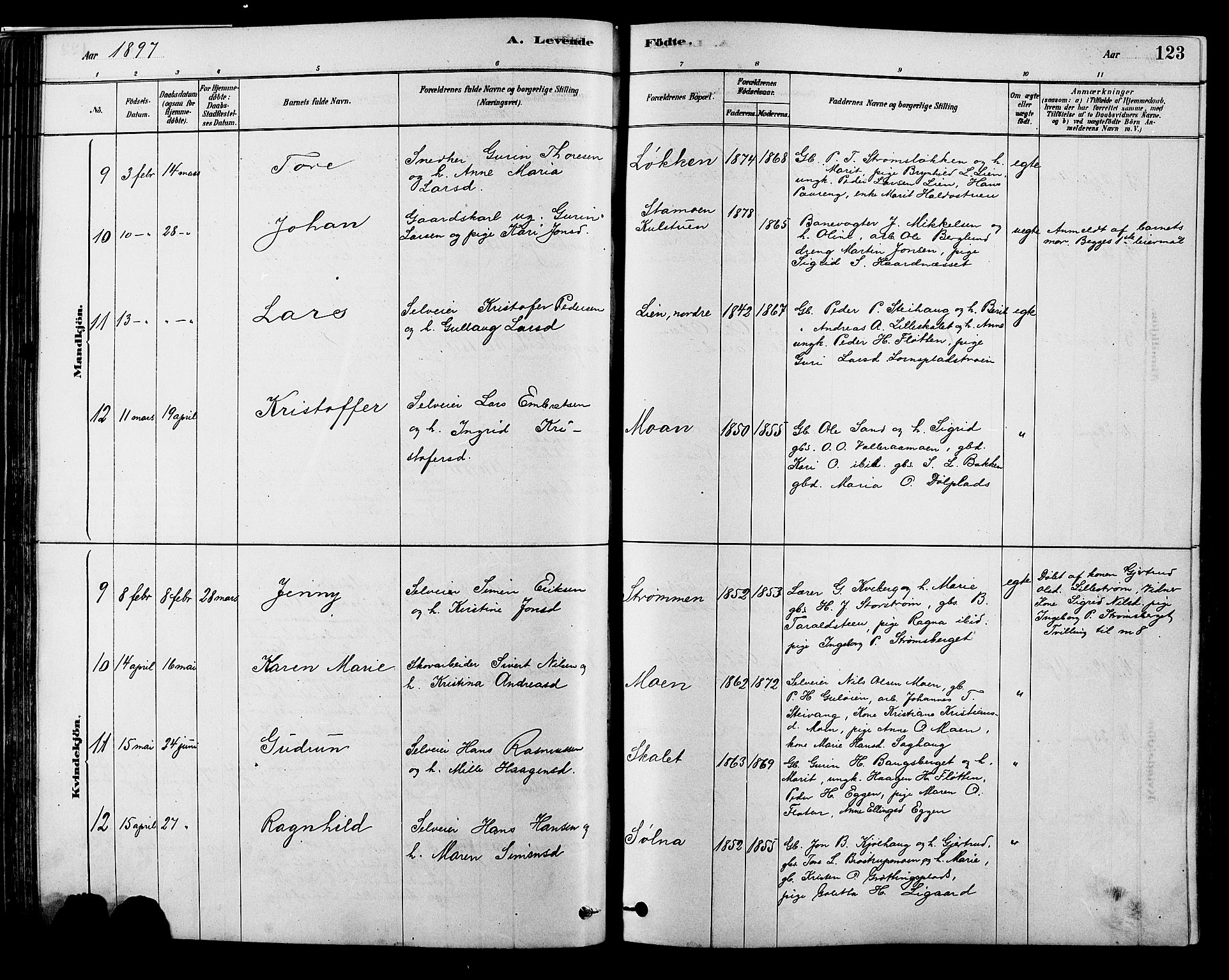 Alvdal prestekontor, SAH/PREST-060/H/Ha/Hab/L0003: Parish register (copy) no. 3, 1878-1907, p. 123