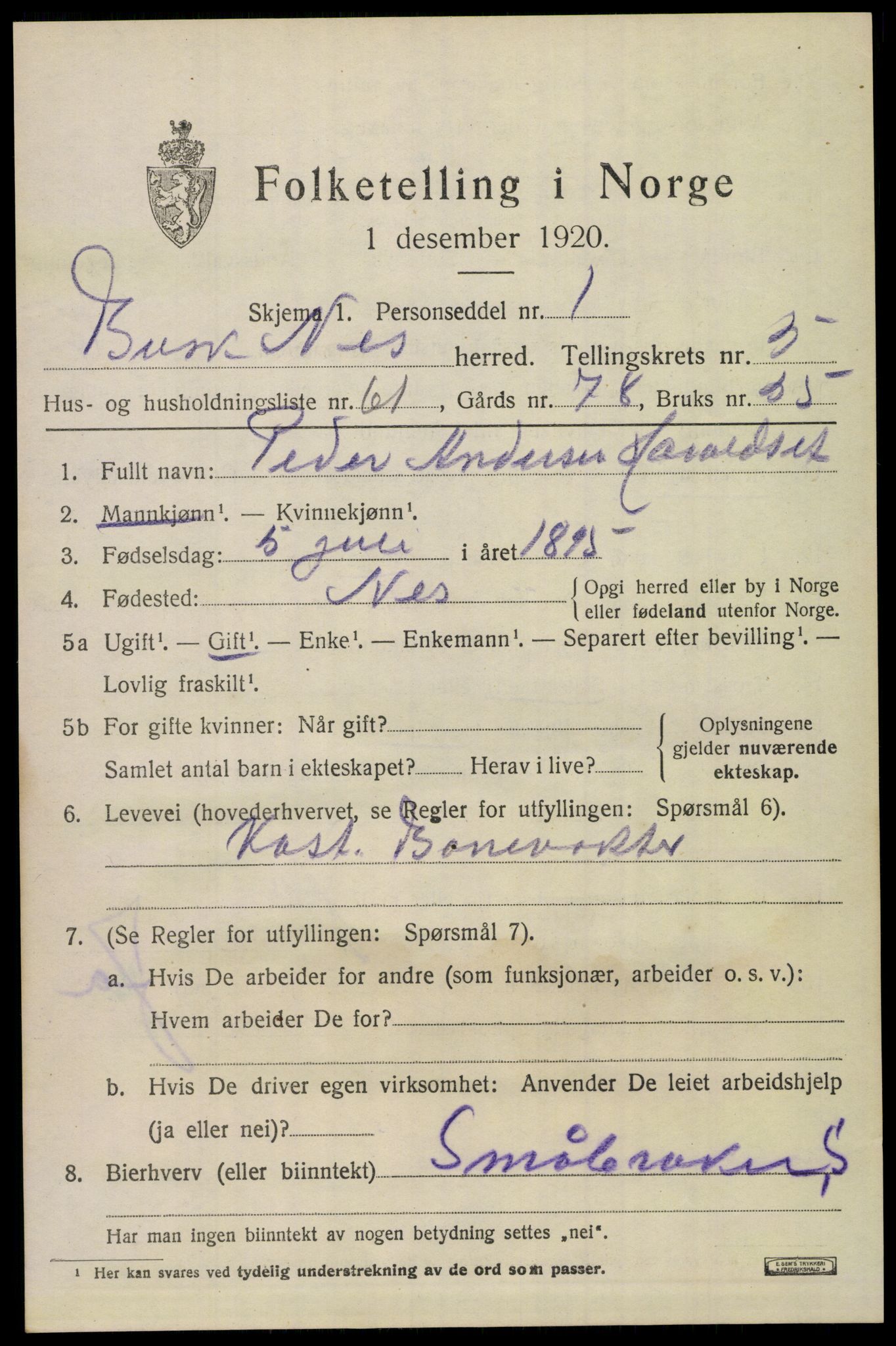 SAKO, 1920 census for Nes (Buskerud), 1920, p. 3062