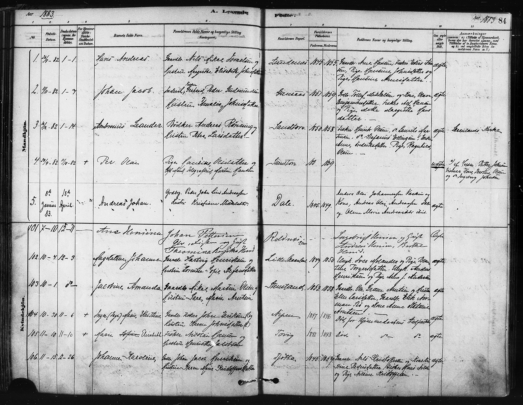 Trondenes sokneprestkontor, SATØ/S-1319/H/Ha/L0014kirke: Parish register (official) no. 14, 1878-1889, p. 84