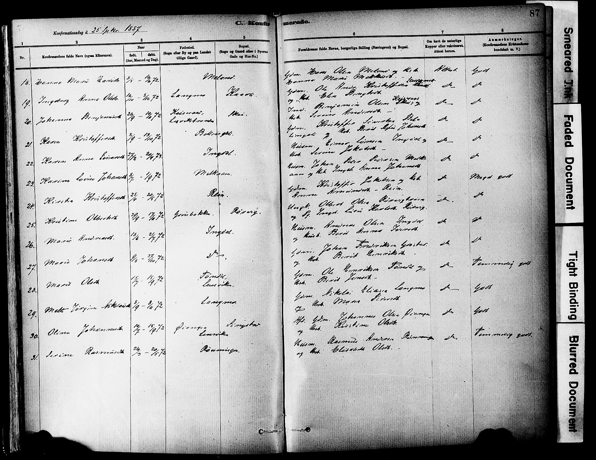 Ministerialprotokoller, klokkerbøker og fødselsregistre - Sør-Trøndelag, SAT/A-1456/646/L0615: Parish register (official) no. 646A13, 1885-1900, p. 87
