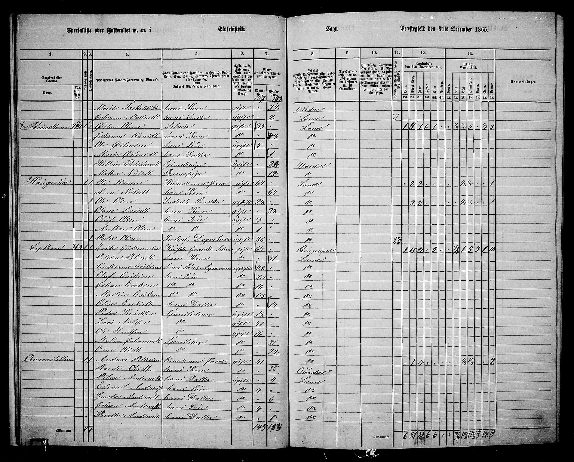 RA, 1865 census for Land, 1865, p. 226