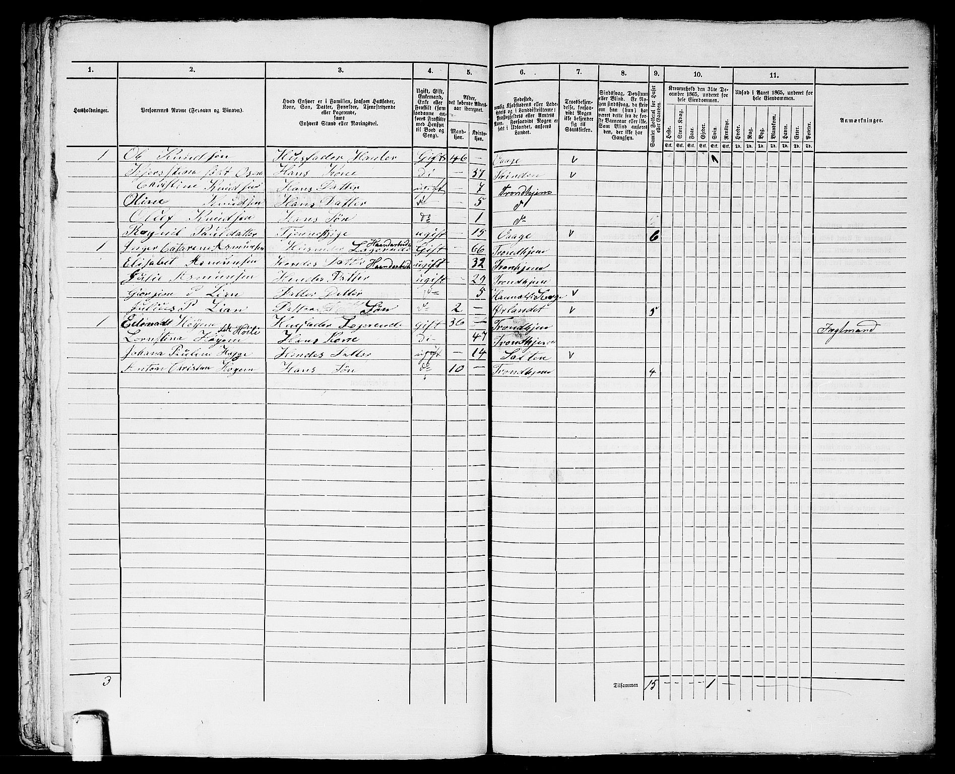 RA, 1865 census for Trondheim, 1865, p. 2028