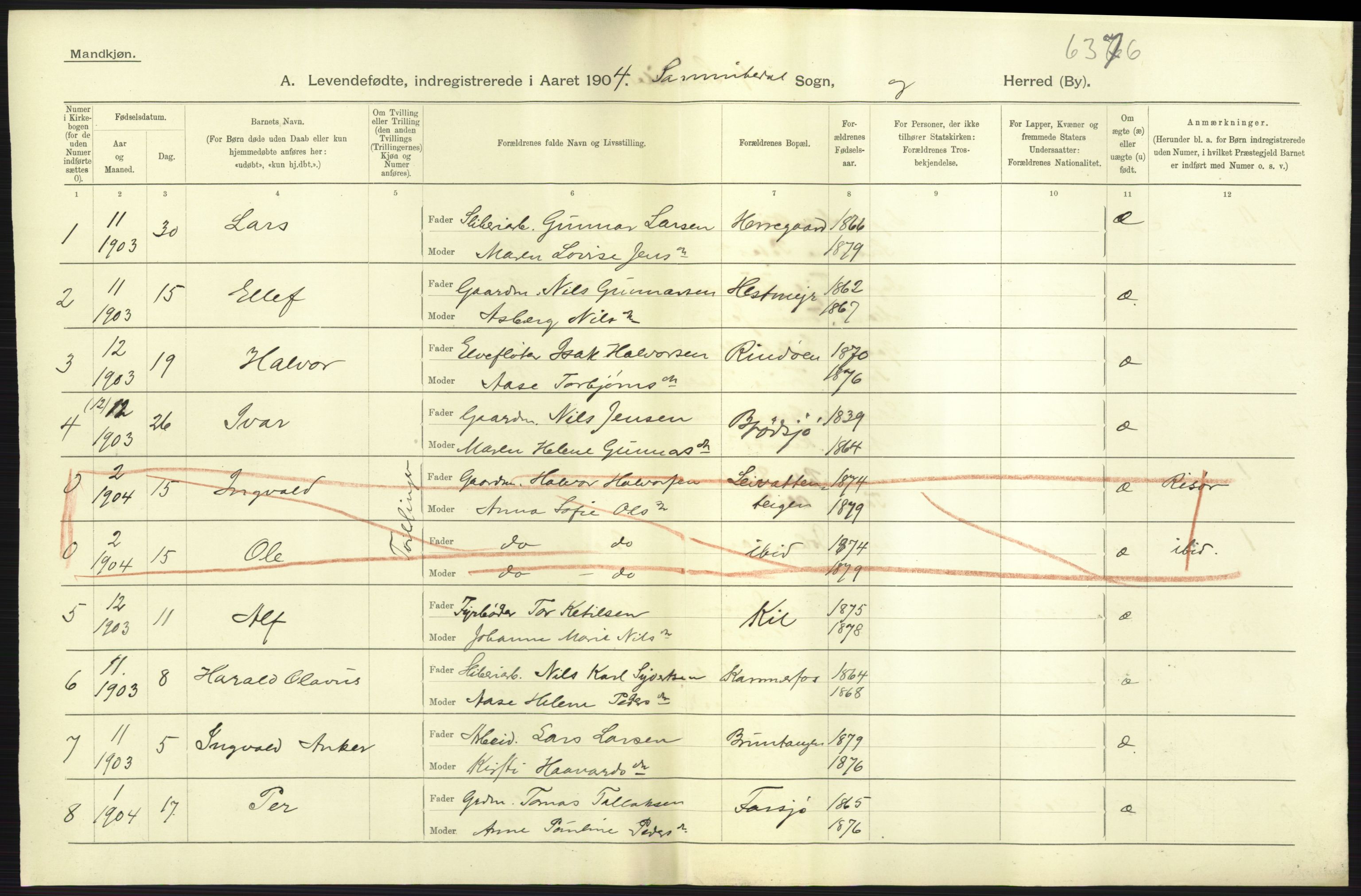 Statistisk sentralbyrå, Sosiodemografiske emner, Befolkning, AV/RA-S-2228/D/Df/Dfa/Dfab/L0009: Bratsberg amt: Fødte, gifte, døde, 1904, p. 23