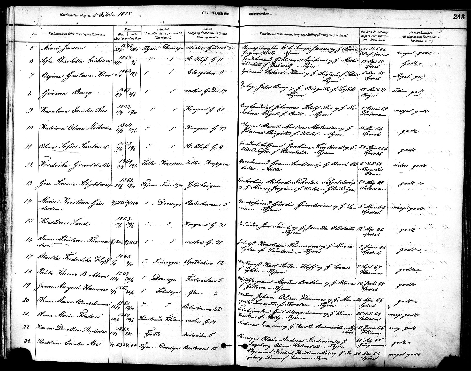 Ministerialprotokoller, klokkerbøker og fødselsregistre - Sør-Trøndelag, SAT/A-1456/601/L0057: Parish register (official) no. 601A25, 1877-1891, p. 243