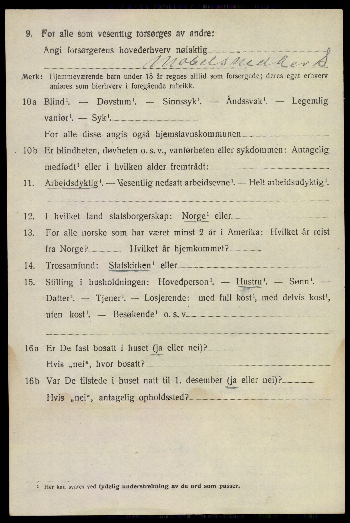 SAKO, 1920 census for Sandeherred, 1920, p. 10313