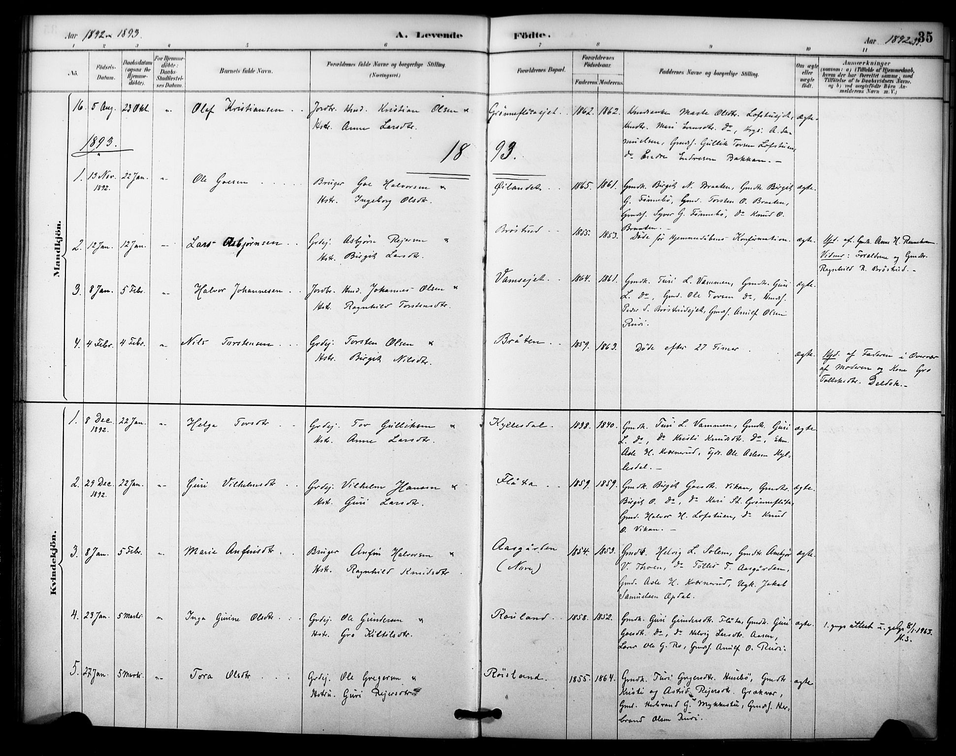 Nore kirkebøker, SAKO/A-238/F/Fc/L0004: Parish register (official) no. III 4, 1885-1898, p. 35