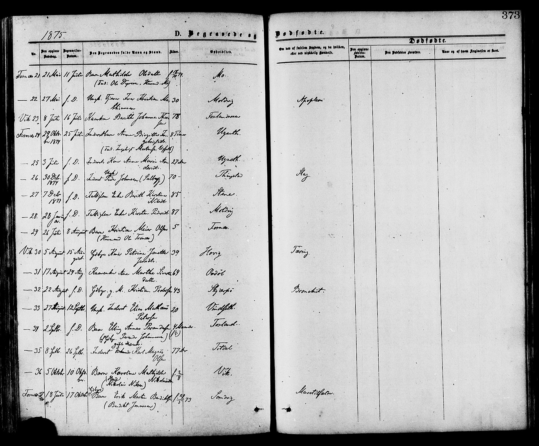 Ministerialprotokoller, klokkerbøker og fødselsregistre - Nord-Trøndelag, SAT/A-1458/773/L0616: Parish register (official) no. 773A07, 1870-1887, p. 373