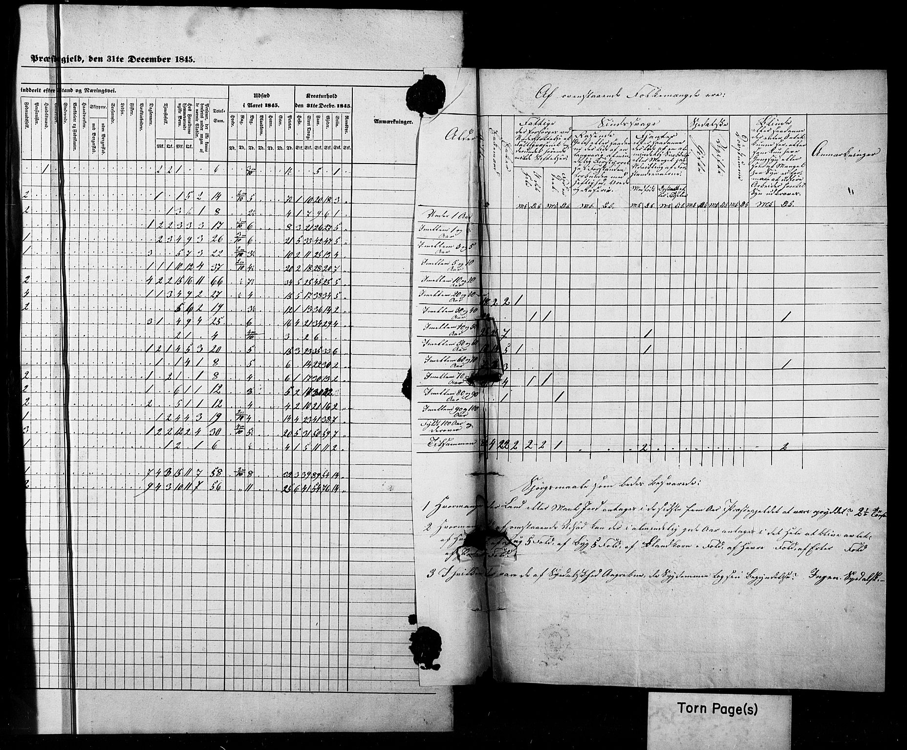 SAB, Census 1845 for Luster, 1845