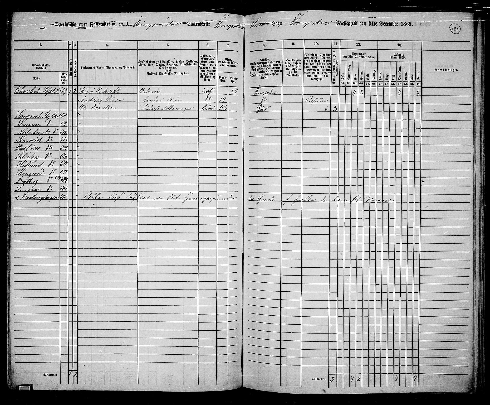 RA, 1865 census for Ringsaker, 1865, p. 376