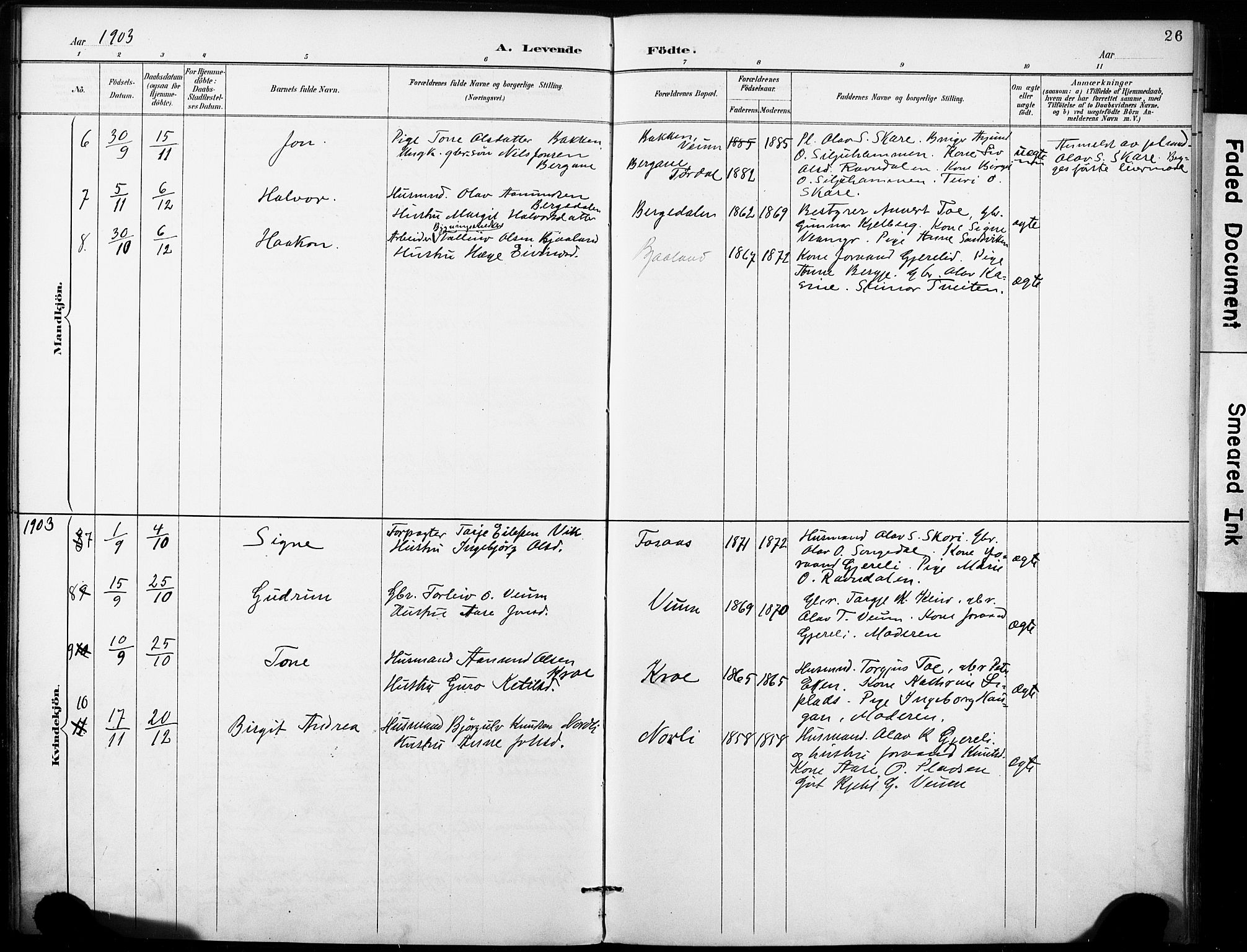 Fyresdal kirkebøker, SAKO/A-263/F/Fb/L0003: Parish register (official) no. II 3, 1887-1903, p. 26